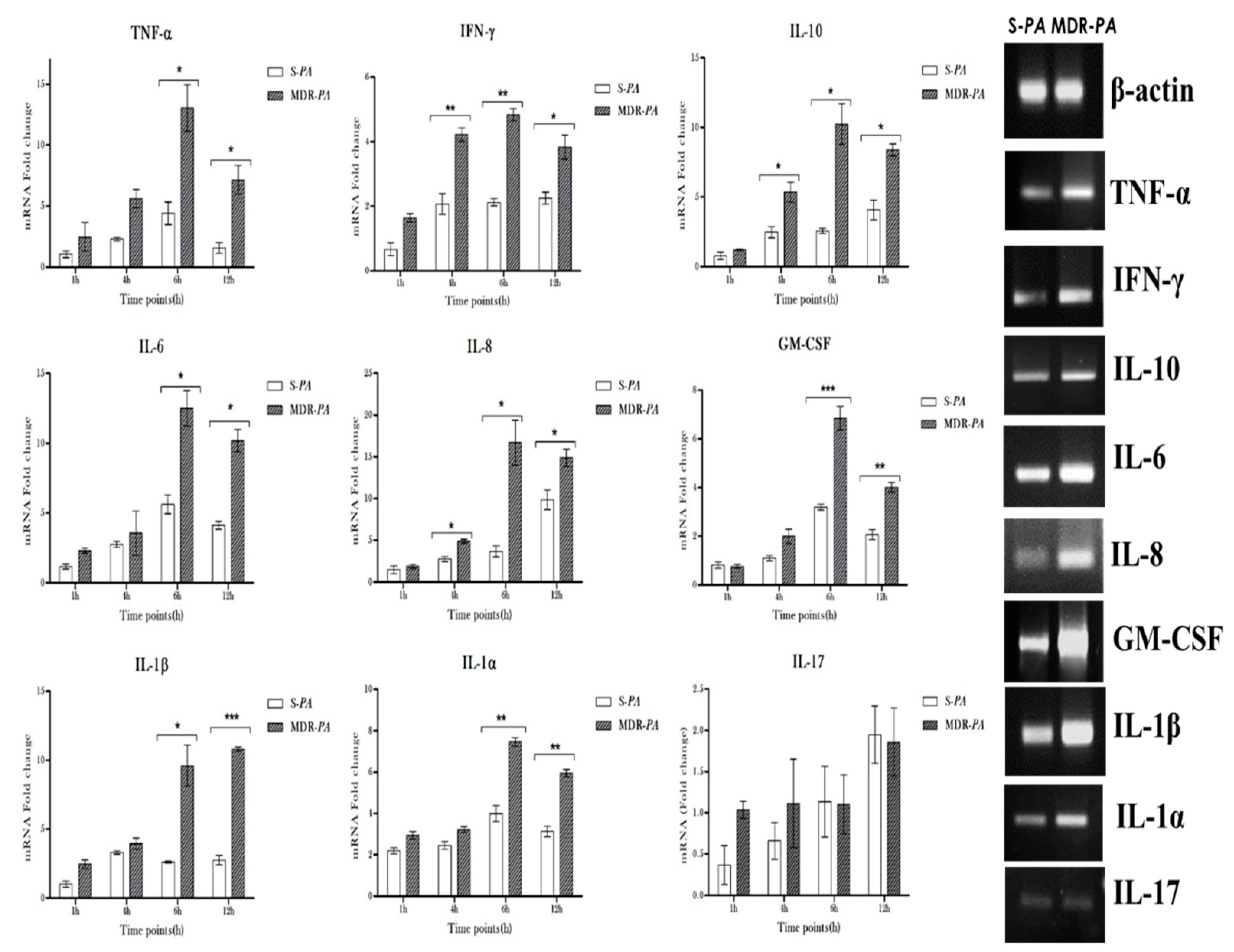 Microorganisms 08 00735 g007 Microorganisms 08 00735 g007