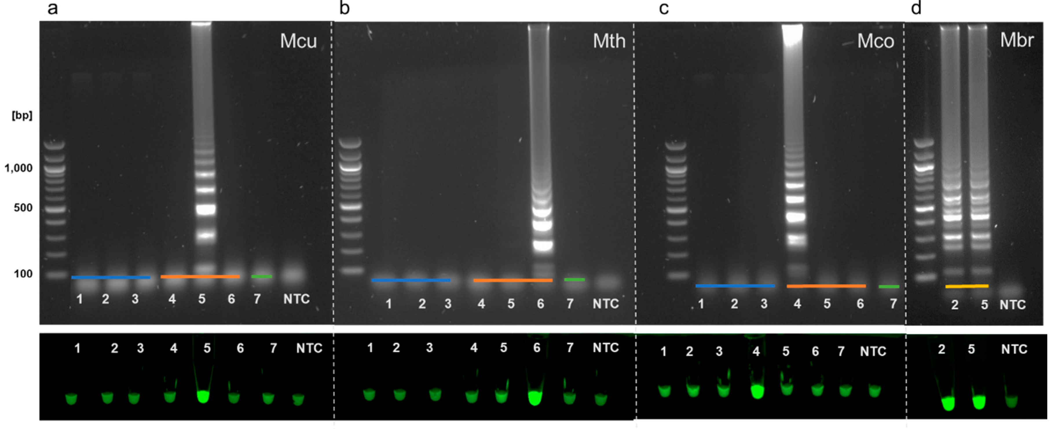 Microorganisms 08 00740 g003 Microorganisms 08 00740 g003