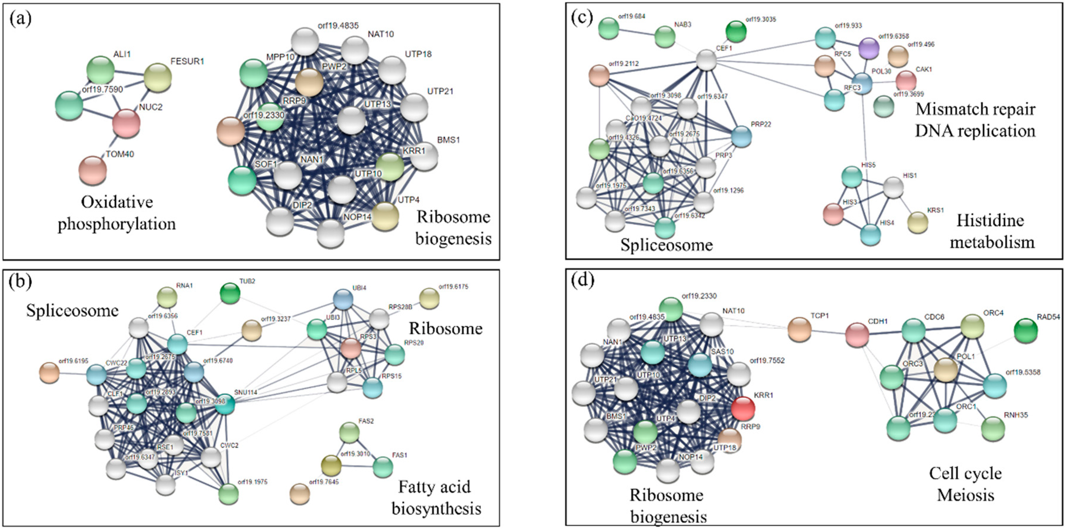 Microorganisms 08 00742 g002
