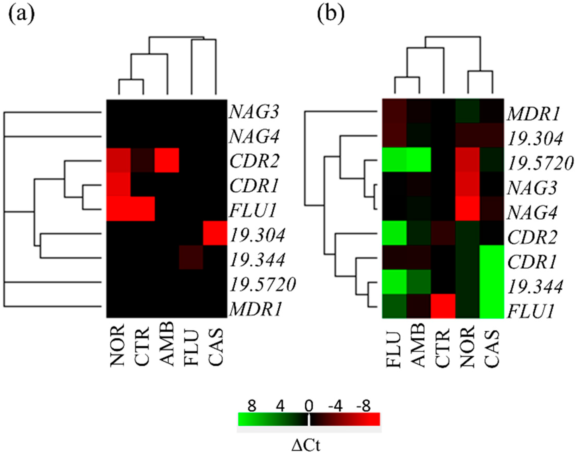 Microorganisms 08 00742 g004
