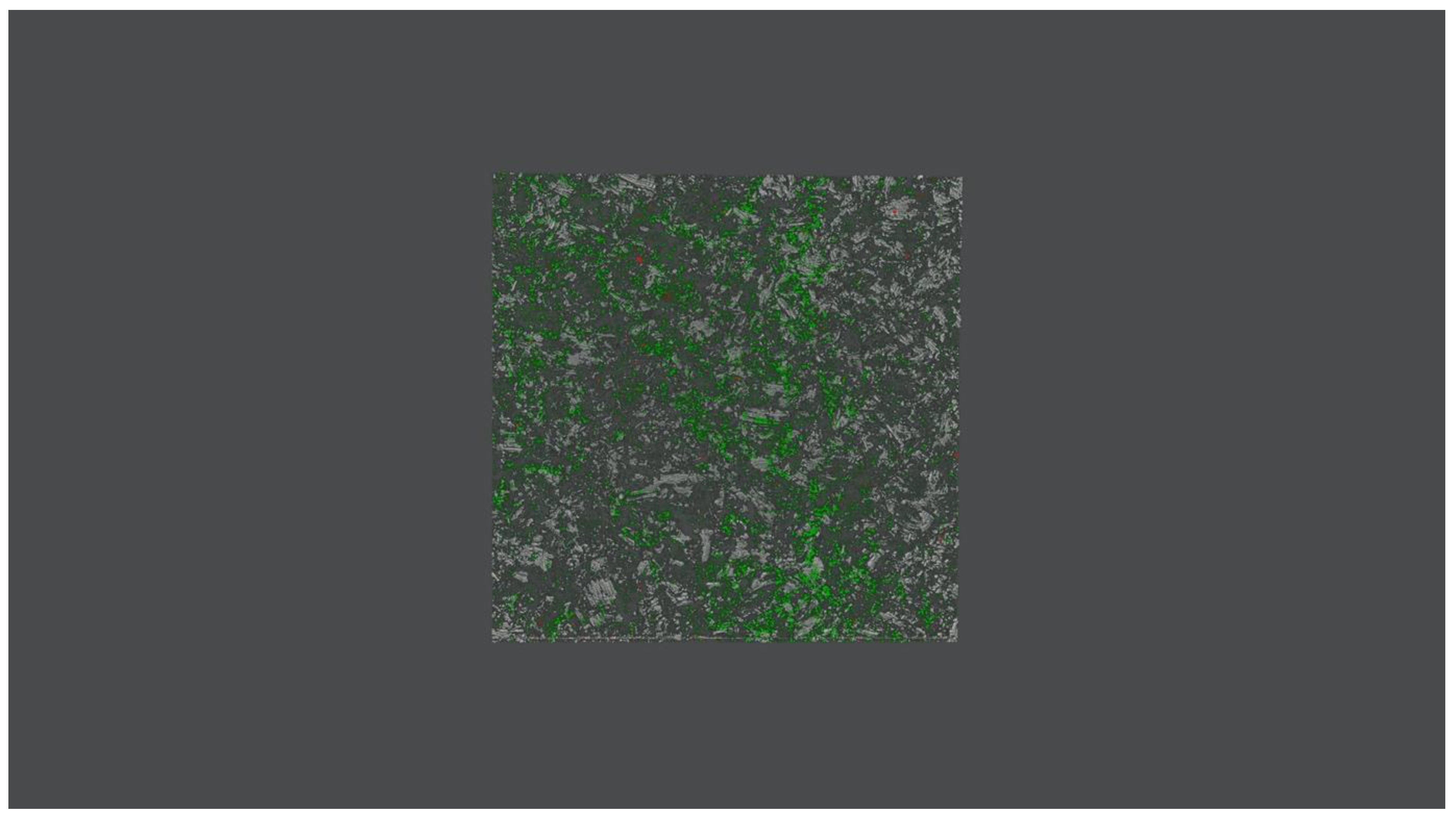 Microorganisms 08 00743 g001