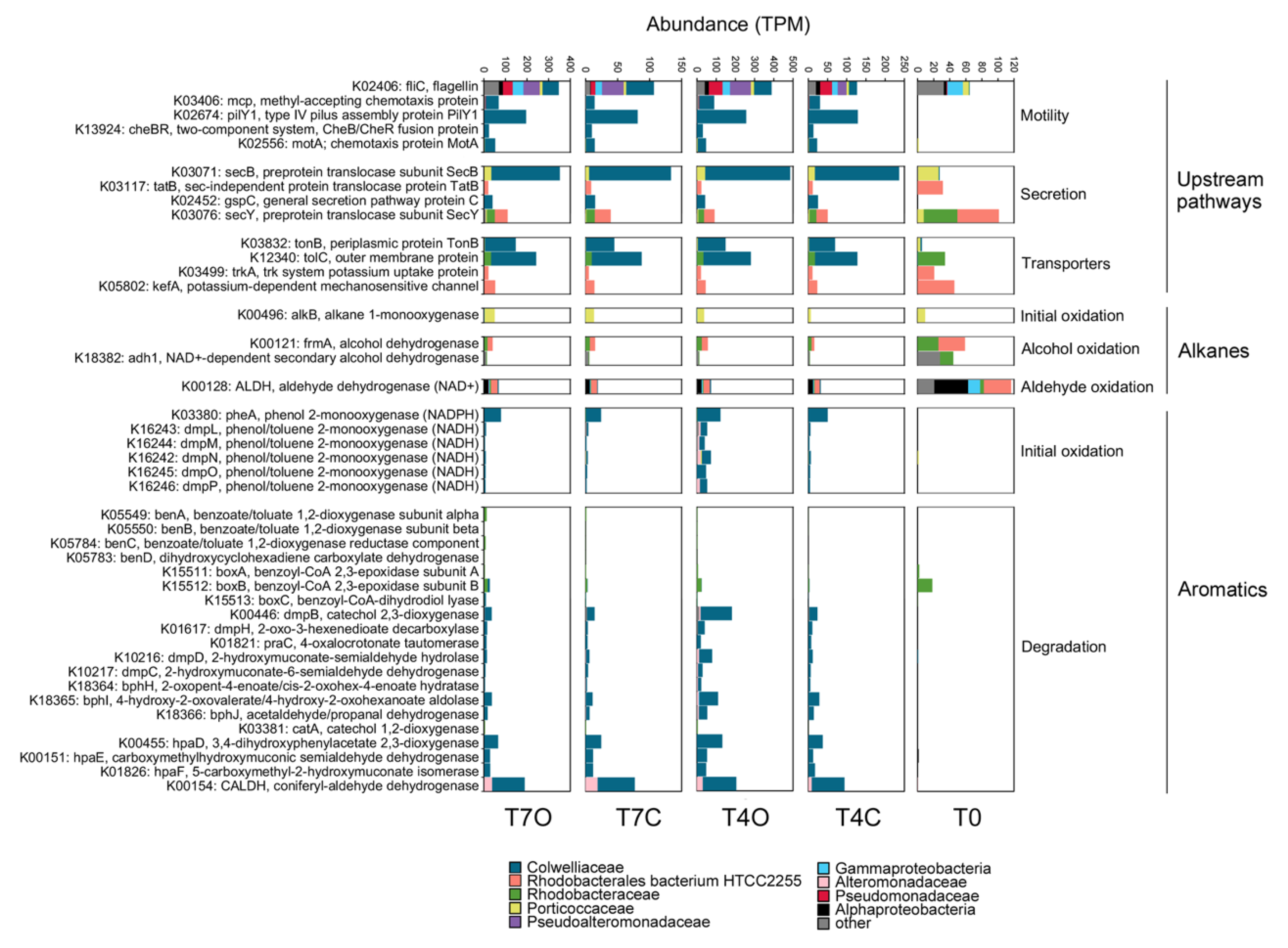 Microorganisms 08 00744 g008