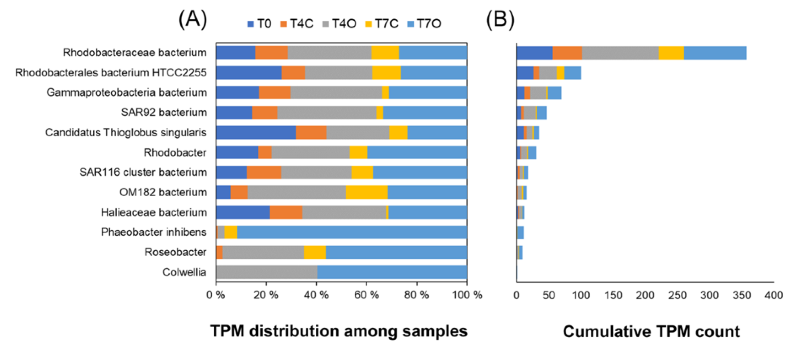 Microorganisms 08 00744 g010