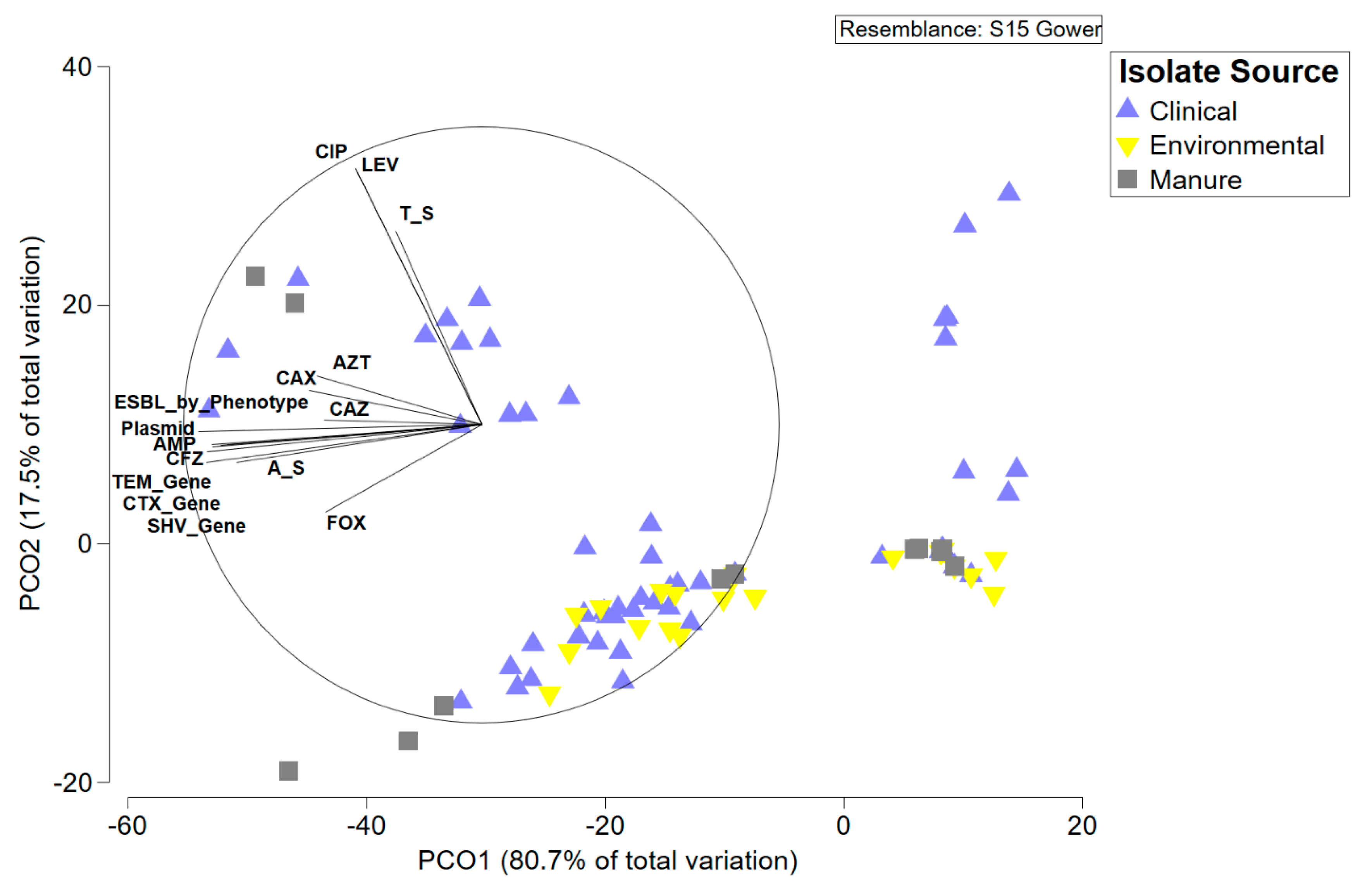 Microorganisms 08 00747 g005 Microorganisms 08 00747 g005