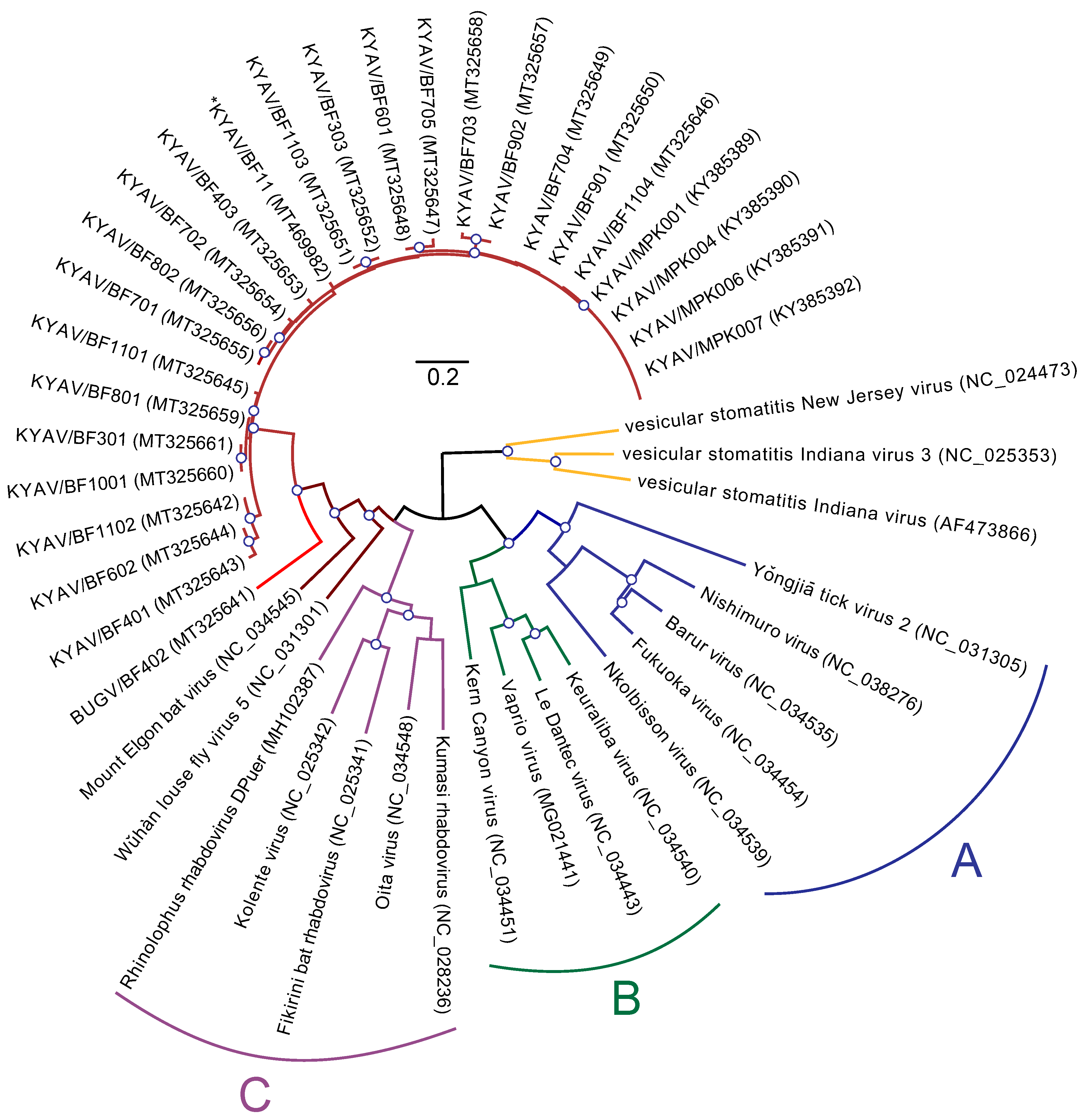 Microorganisms 08 00750 g001