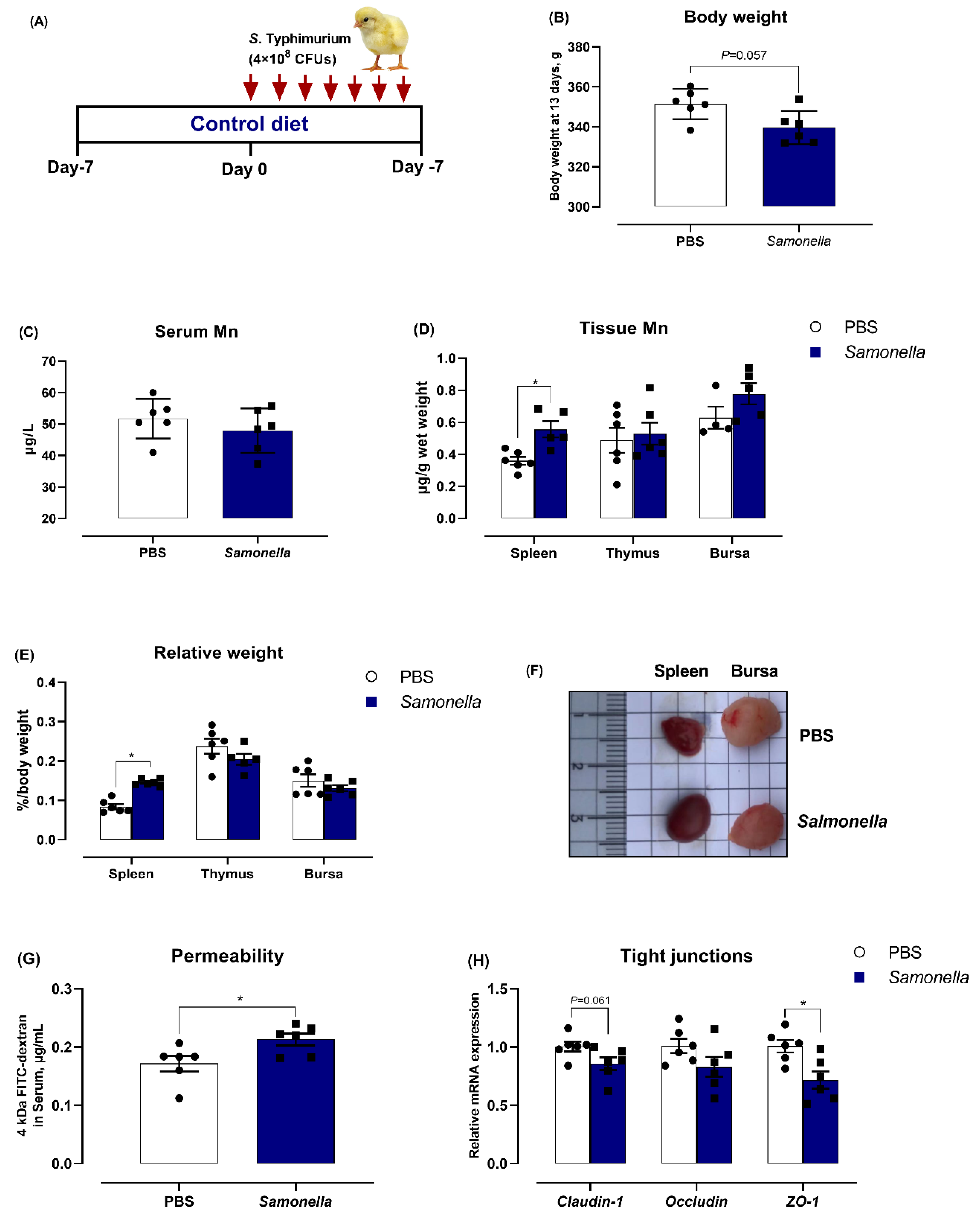 Microorganisms 08 00757 g001