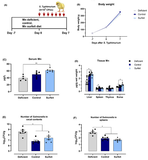 Impact of Dietary Manganese on Intestinal Barrier and Inflammatory ...
