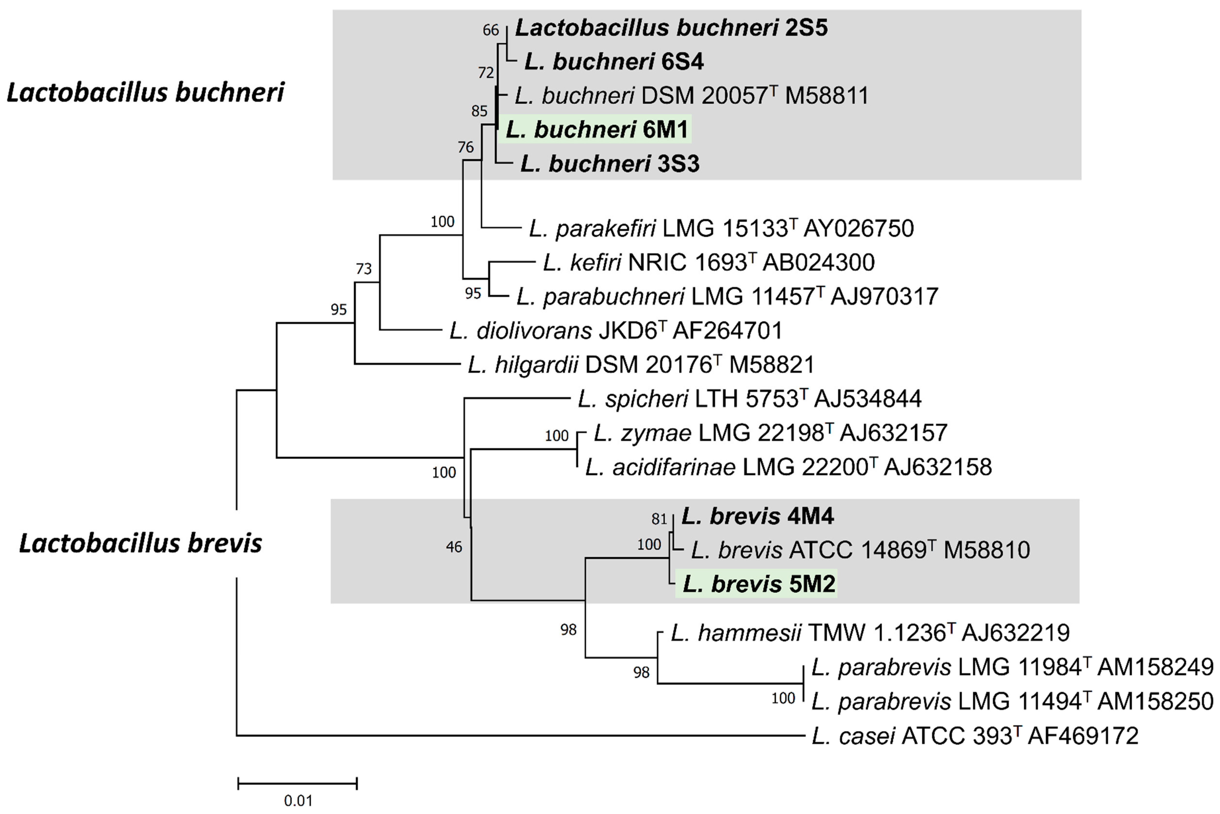 Microorganisms 08 00765 g004 Microorganisms 08 00765 g004