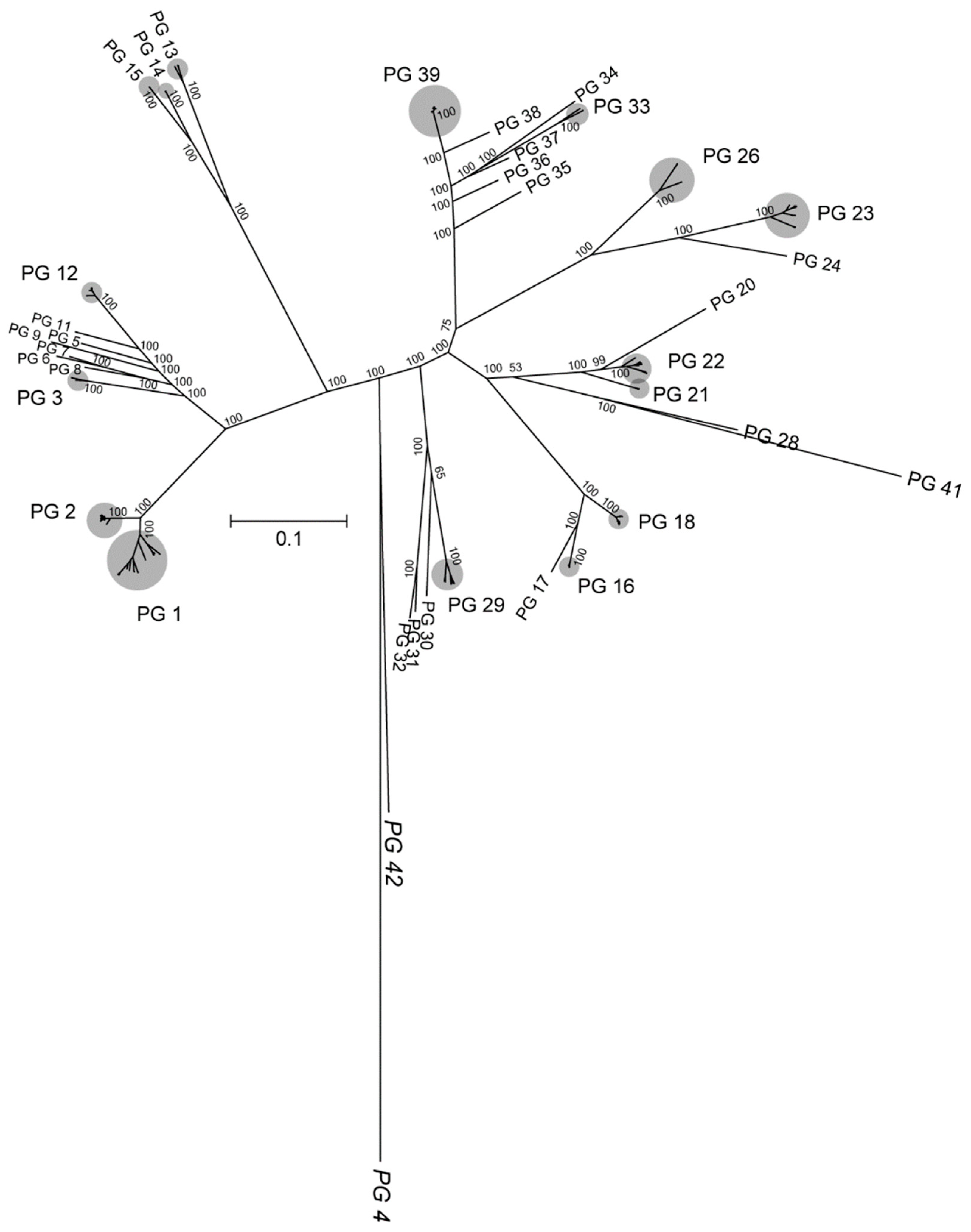 Microorganisms 08 00774 g004 Microorganisms 08 00774 g004