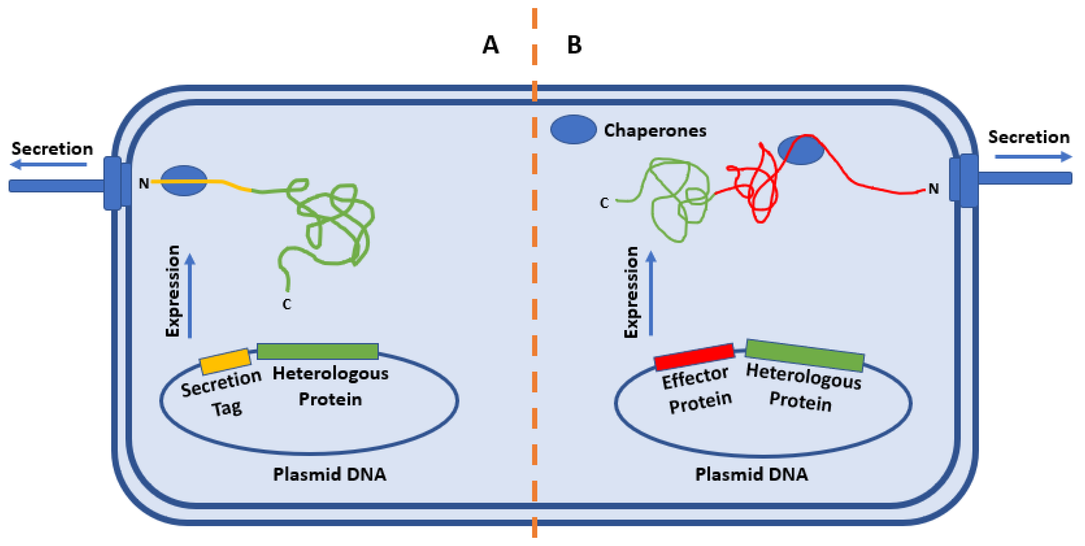 Microorganisms 08 00777 g002 Microorganisms 08 00777 g002