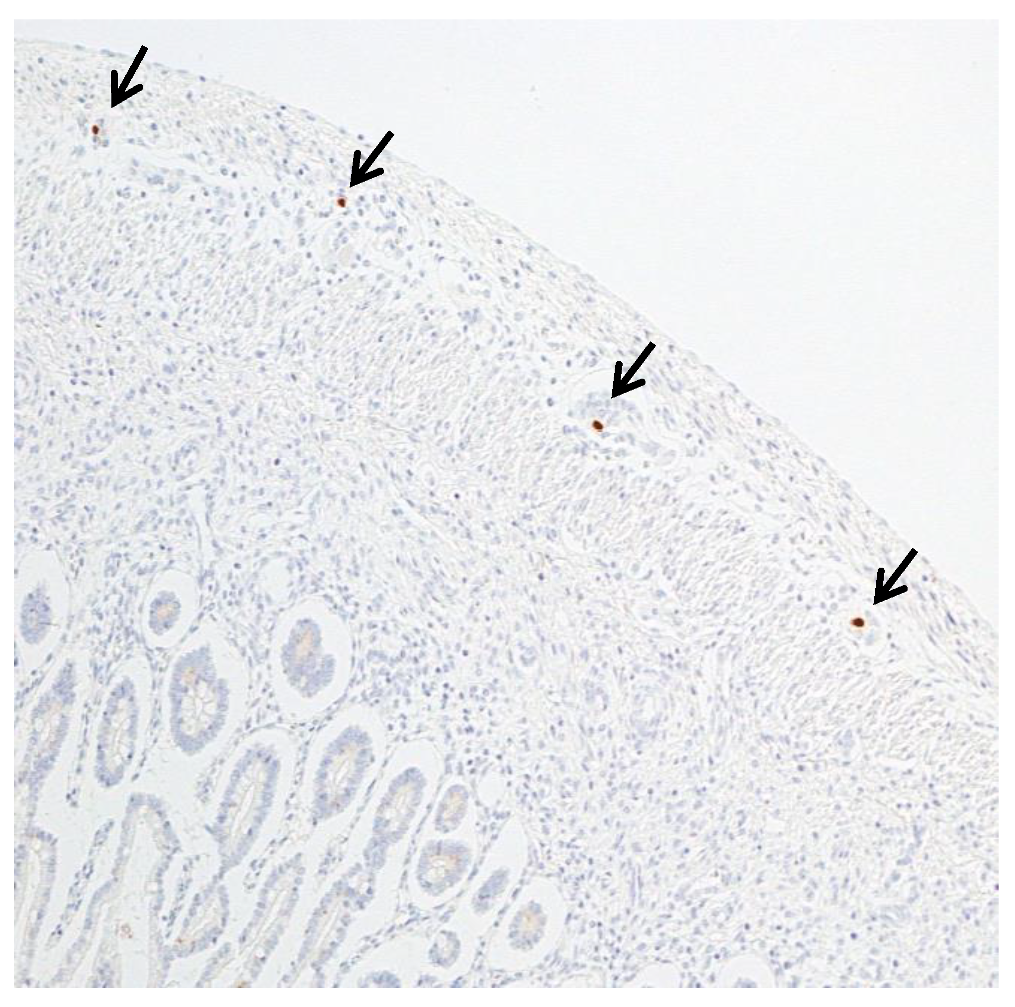 Microorganisms 08 00779 g003 Microorganisms 08 00779 g003