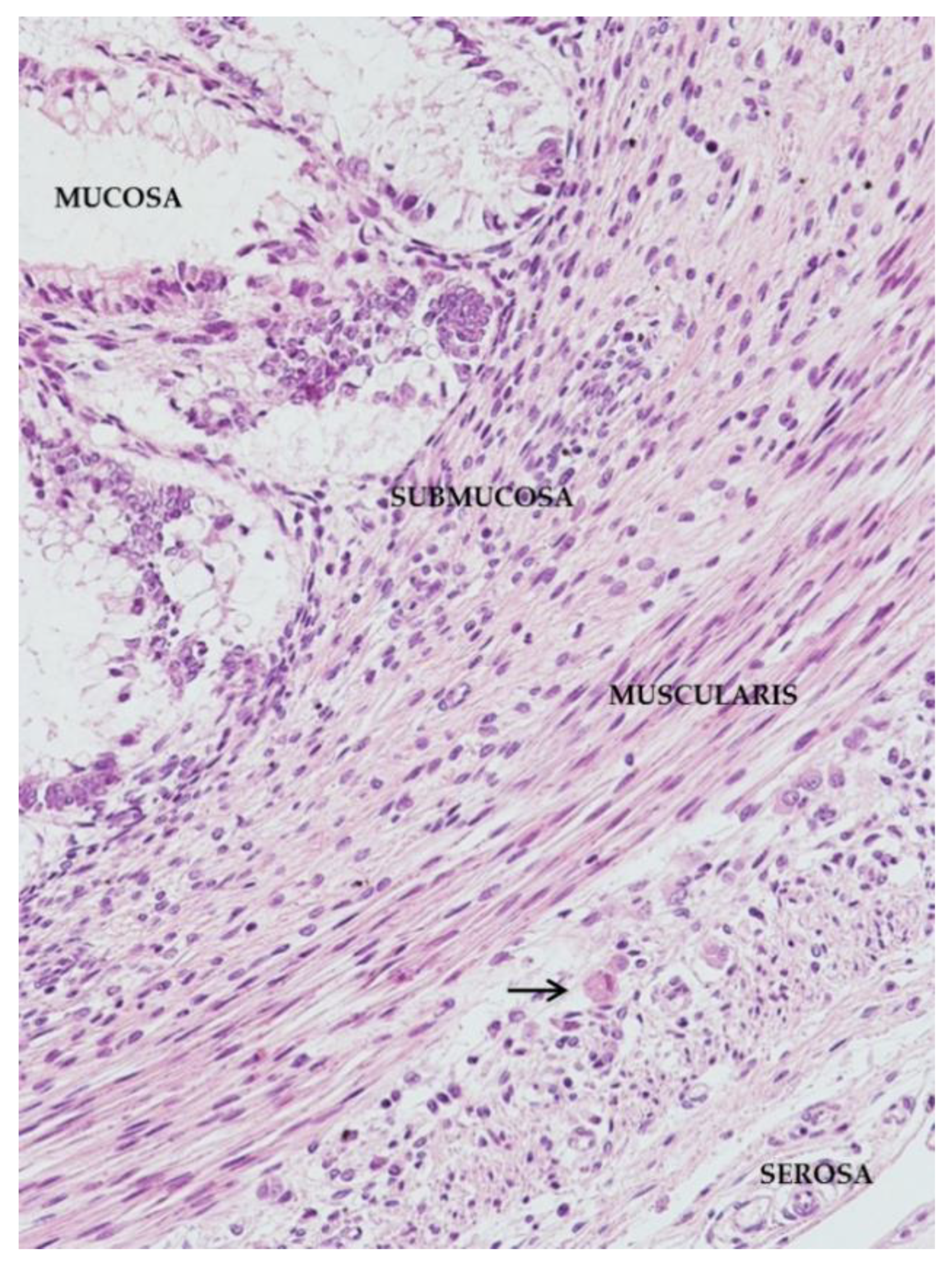 Microorganisms 08 00779 g005 Microorganisms 08 00779 g005