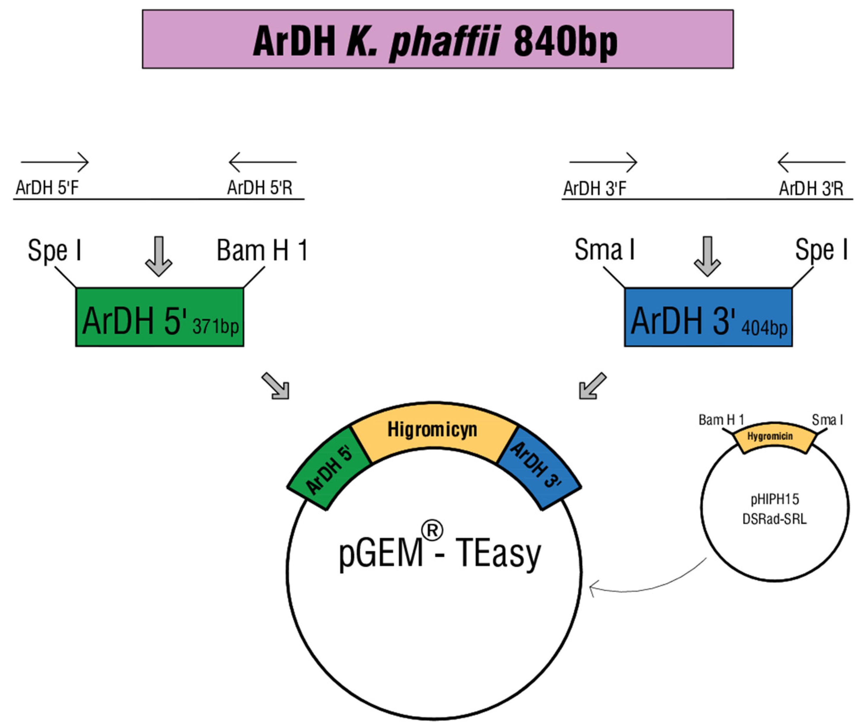 Microorganisms 08 00781 g001 Microorganisms 08 00781 g001
