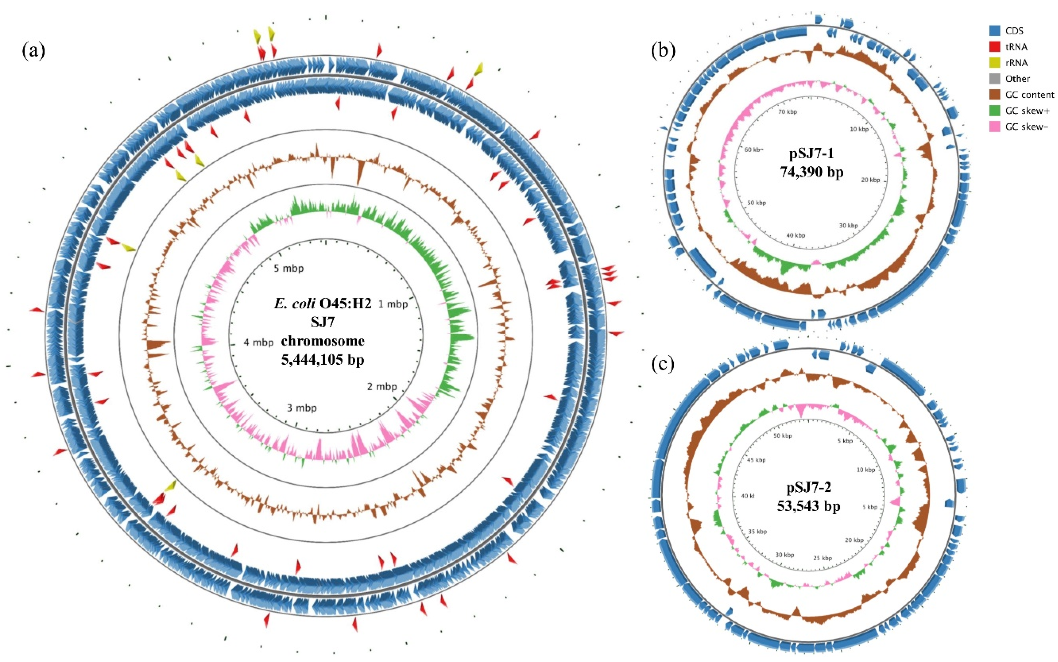 Microorganisms 08 00782 g001 Microorganisms 08 00782 g001