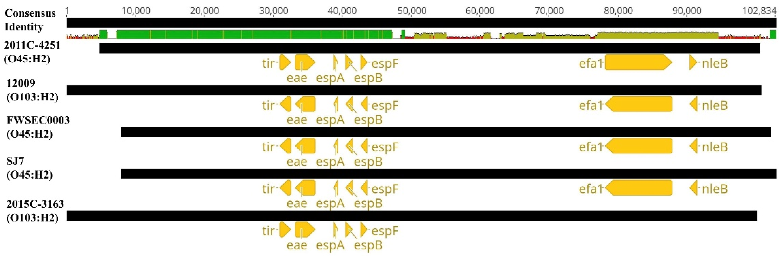 Microorganisms 08 00782 g005 Microorganisms 08 00782 g005