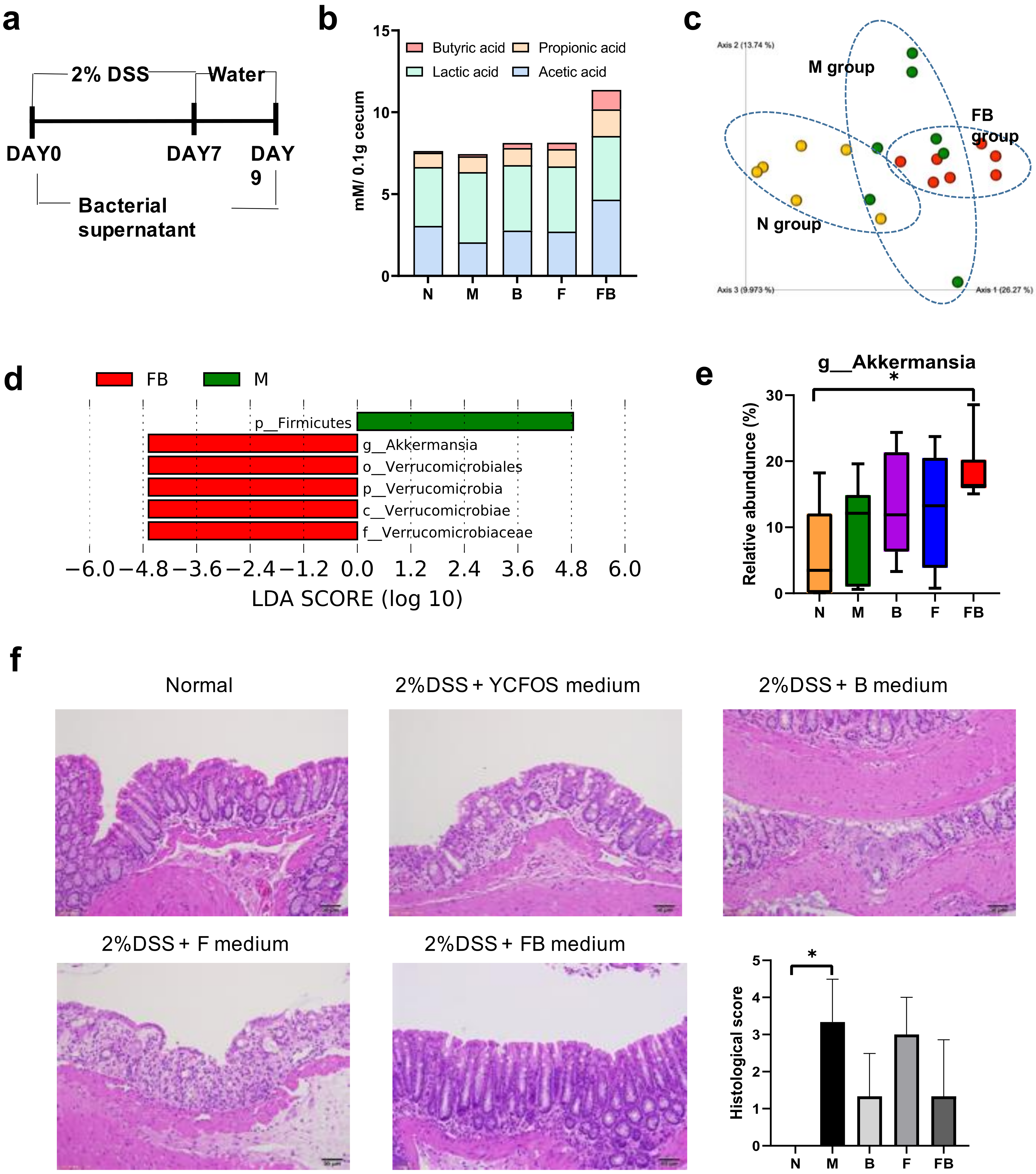 Microorganisms 08 00788 g006