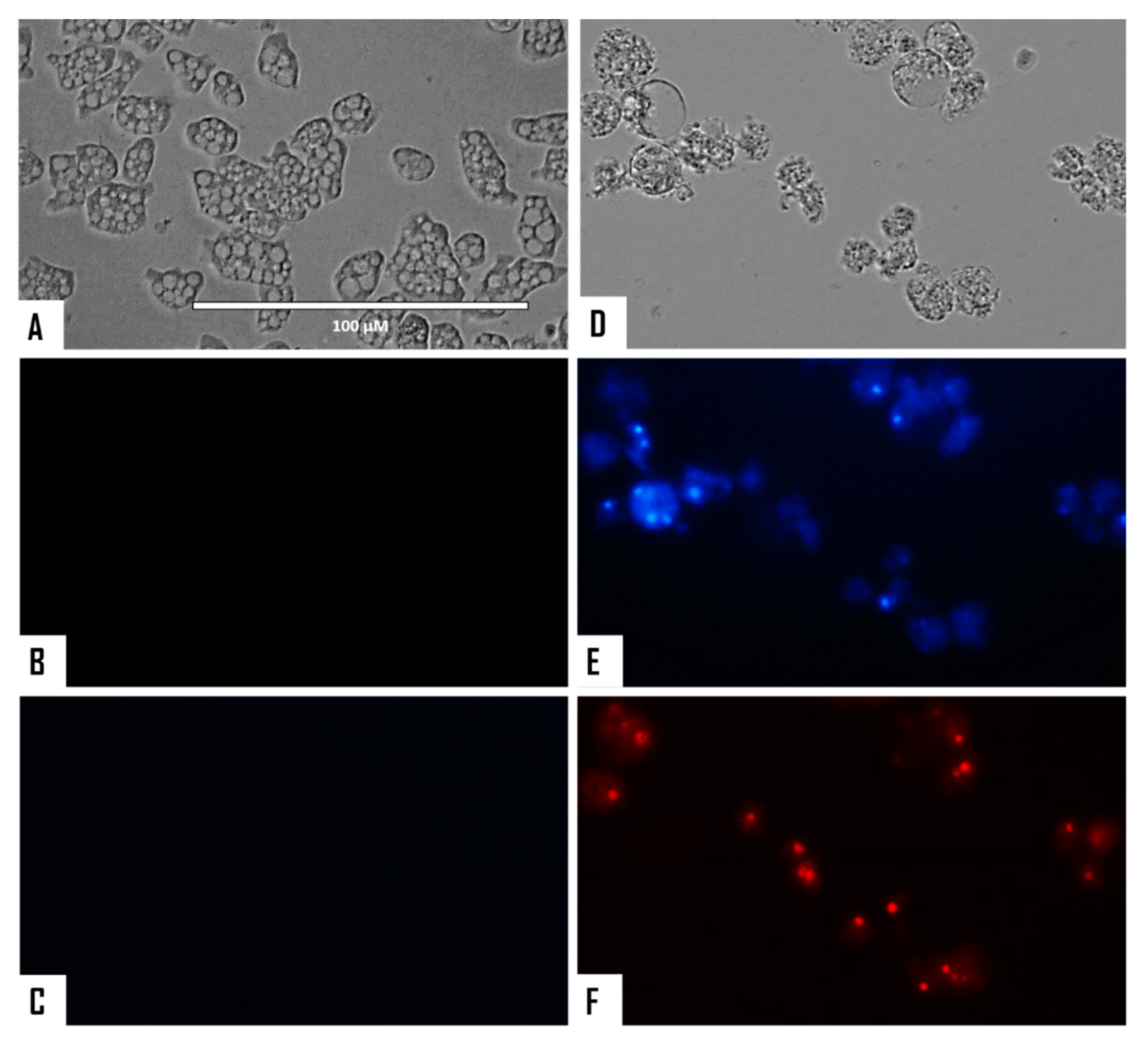 Microorganisms 08 00789 g002 Microorganisms 08 00789 g002