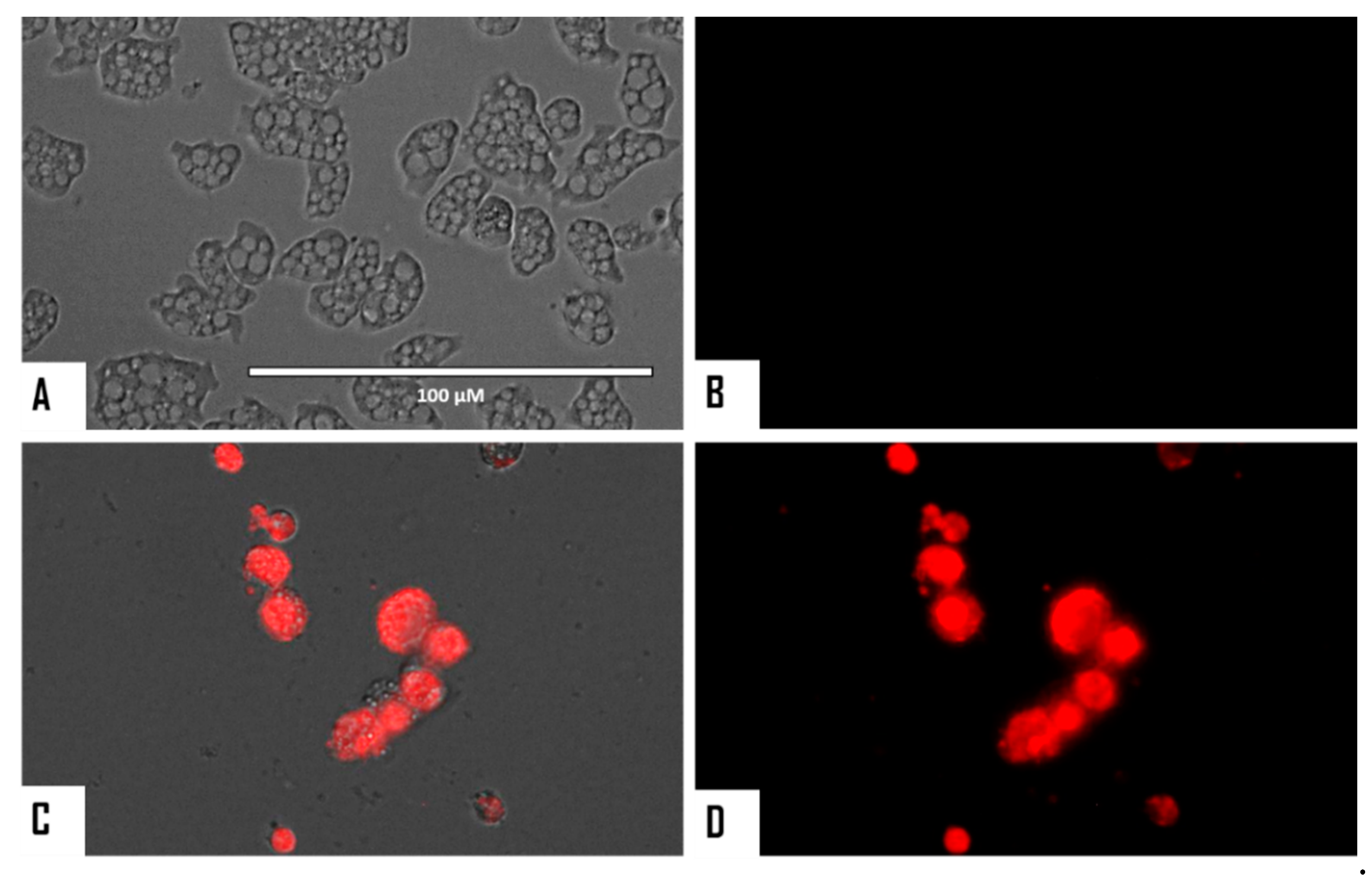 Microorganisms 08 00789 g008 Microorganisms 08 00789 g008