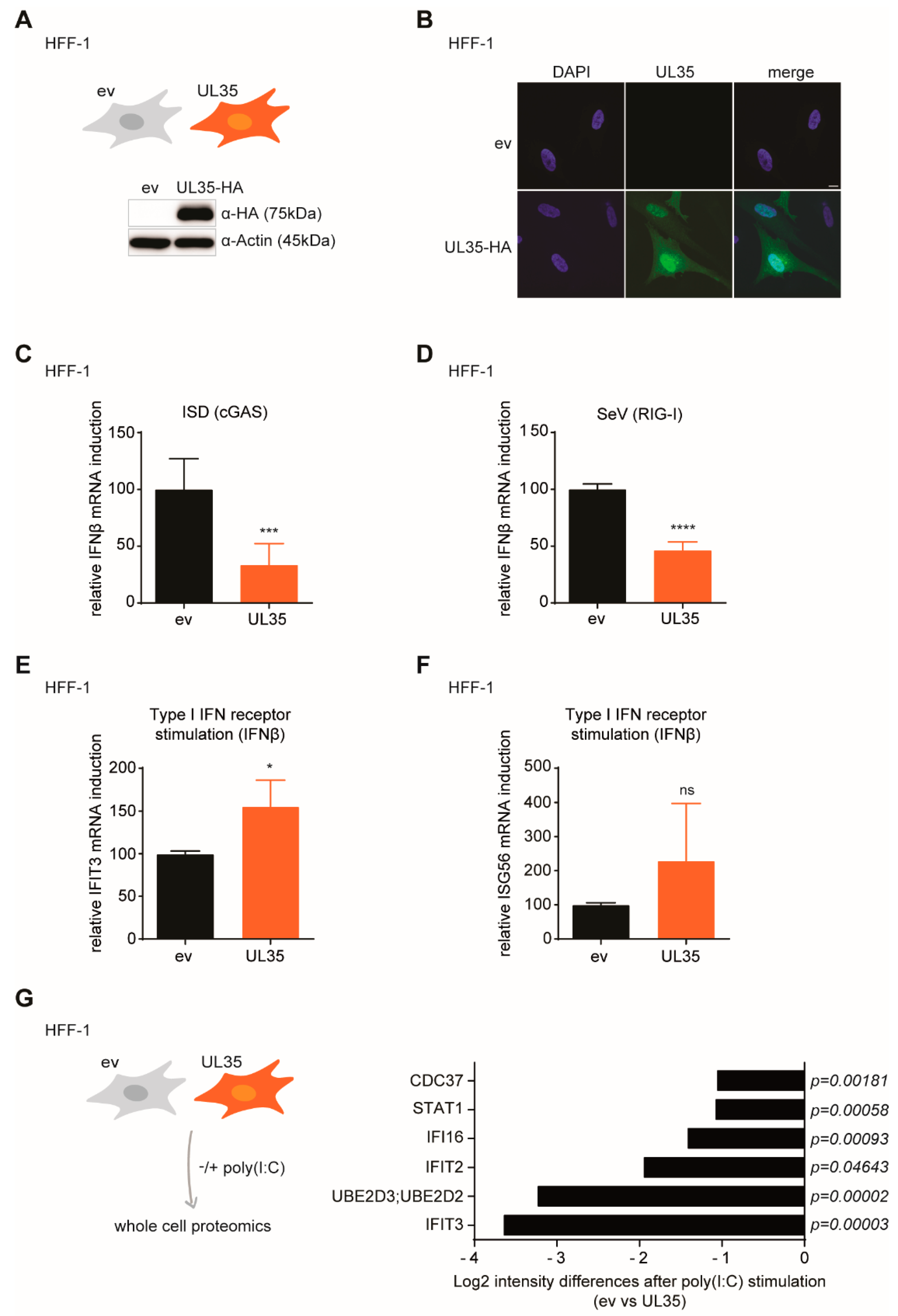 Microorganisms 08 00790 g005