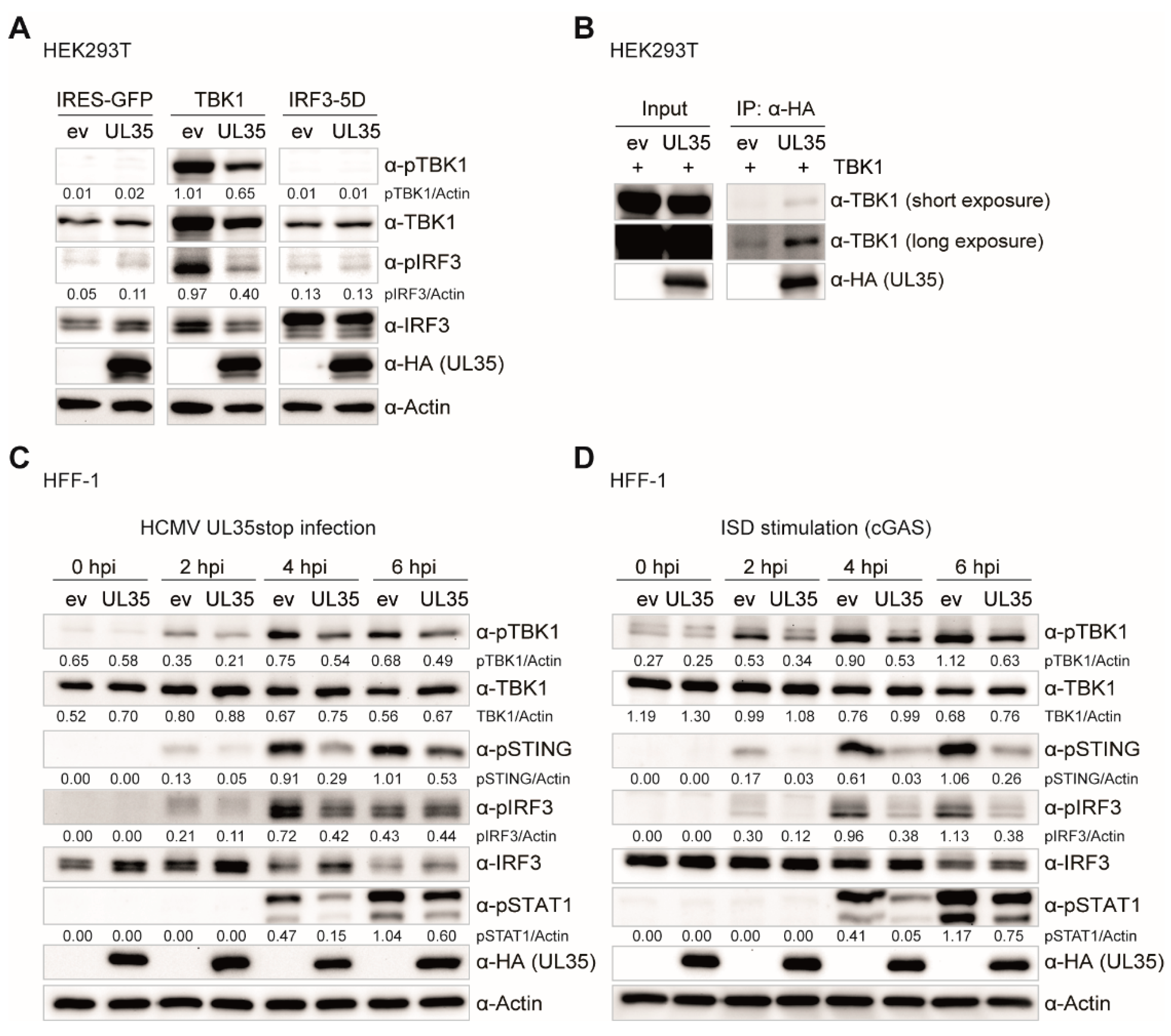 Microorganisms 08 00790 g007