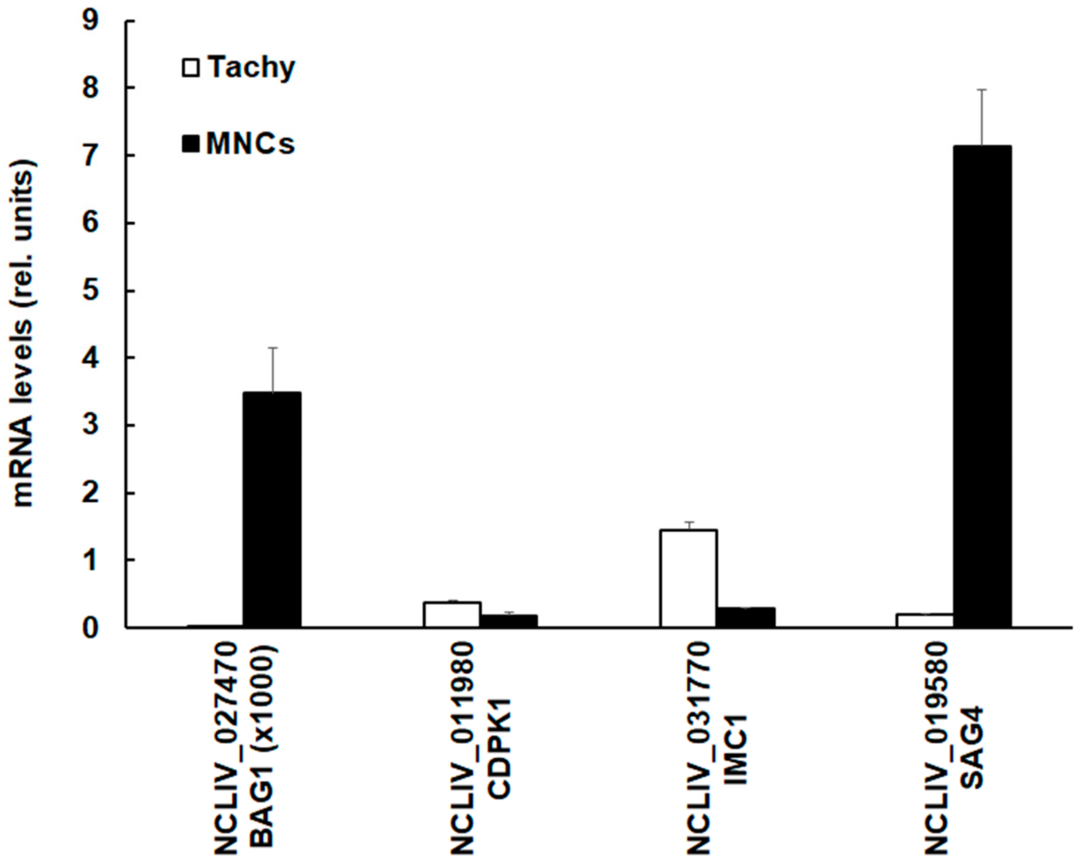 Microorganisms 08 00801 g004 Microorganisms 08 00801 g004