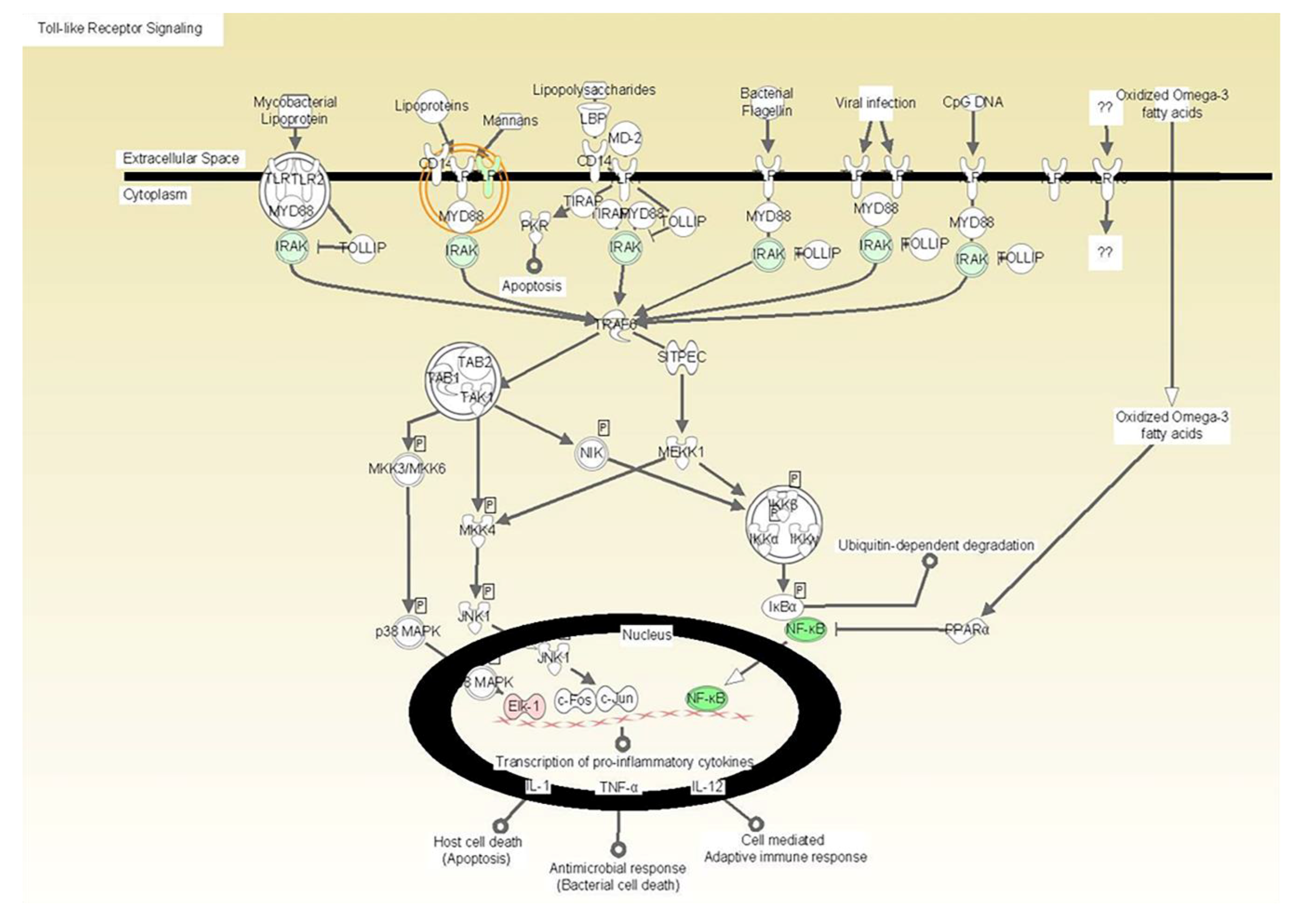 Microorganisms 08 00804 g001 Microorganisms 08 00804 g001