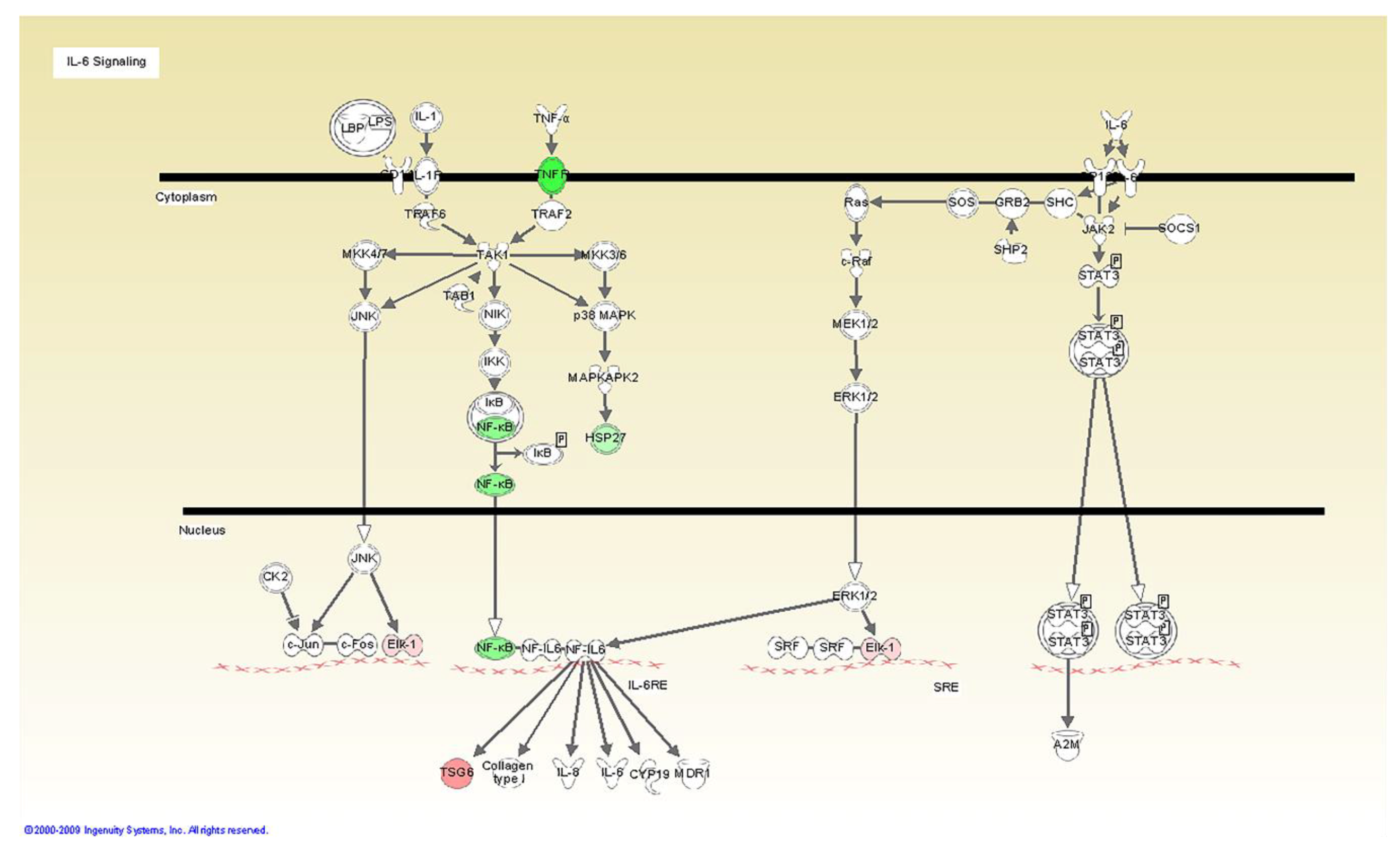 Microorganisms 08 00804 g003 Microorganisms 08 00804 g003