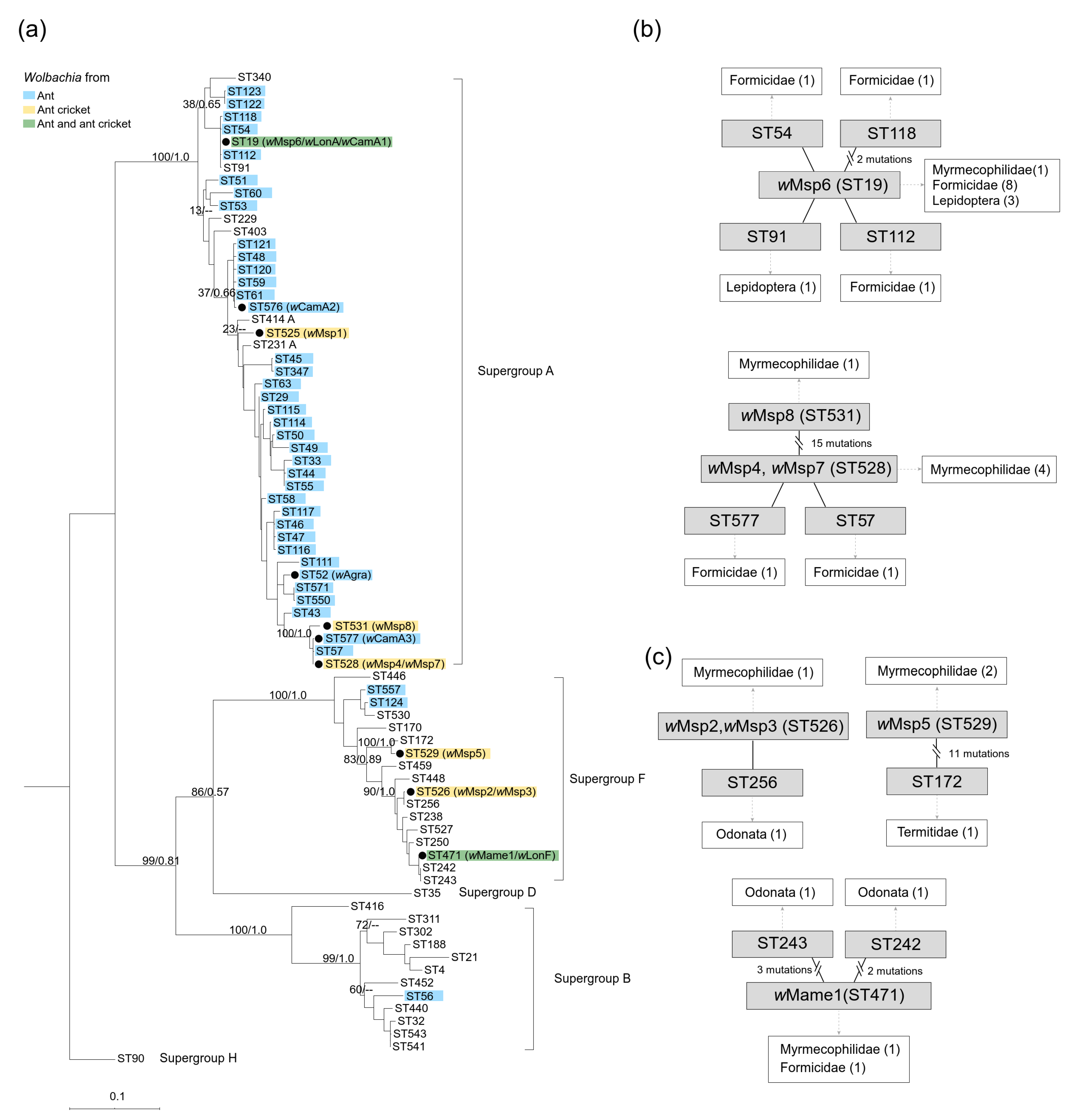 Microorganisms 08 00805 g002