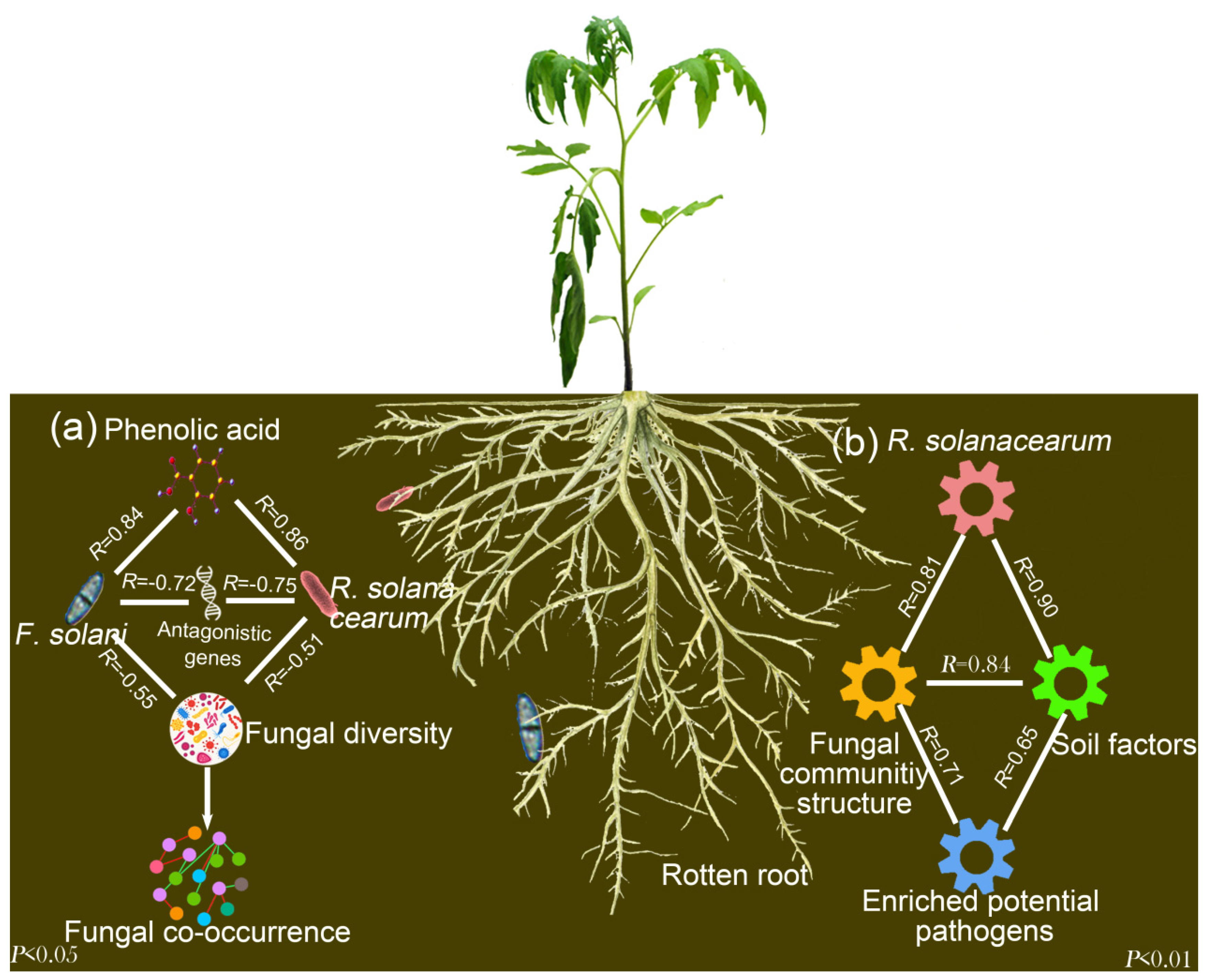 Microorganisms 08 00806 g006