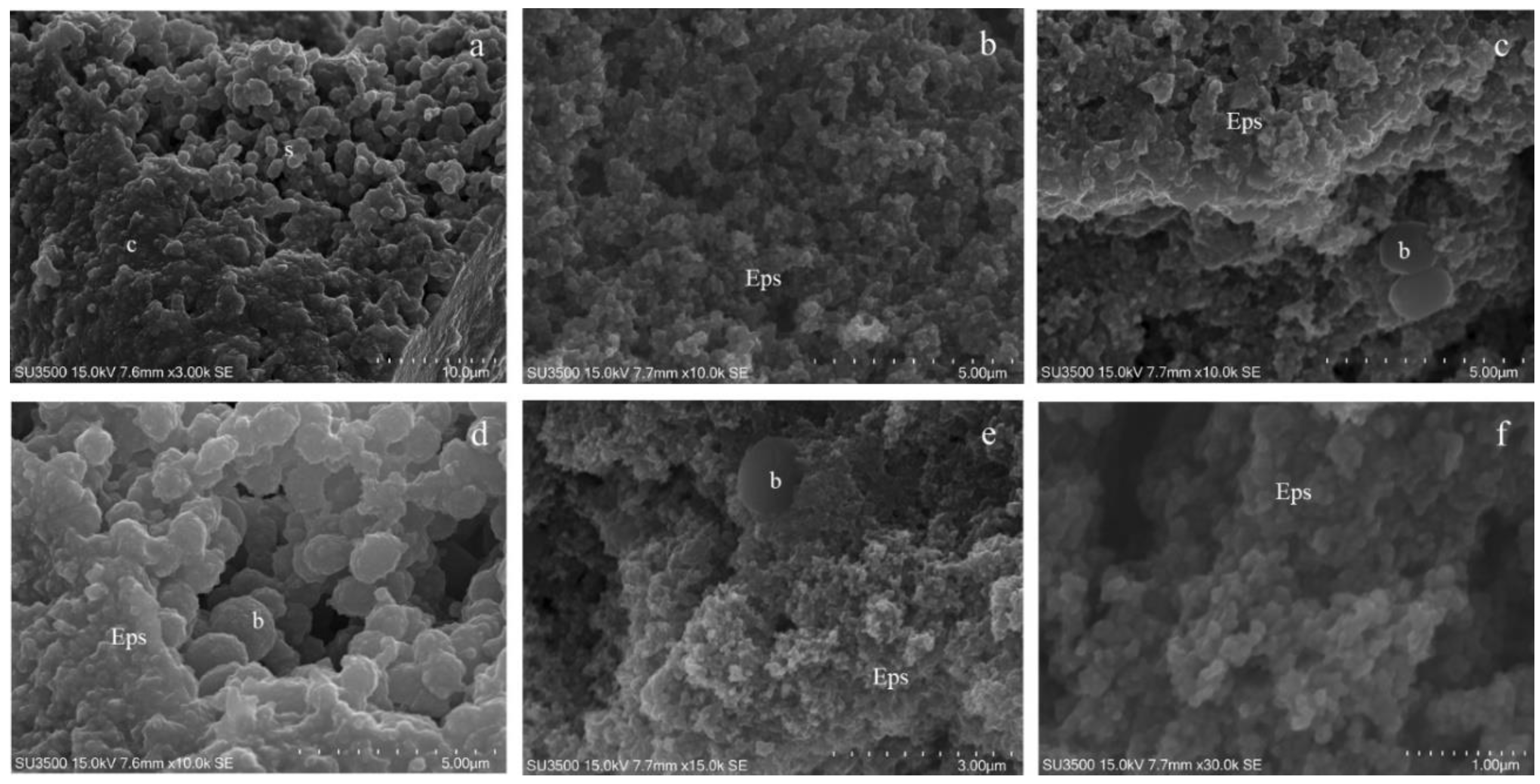 Microorganisms 08 00807 g003 Microorganisms 08 00807 g003