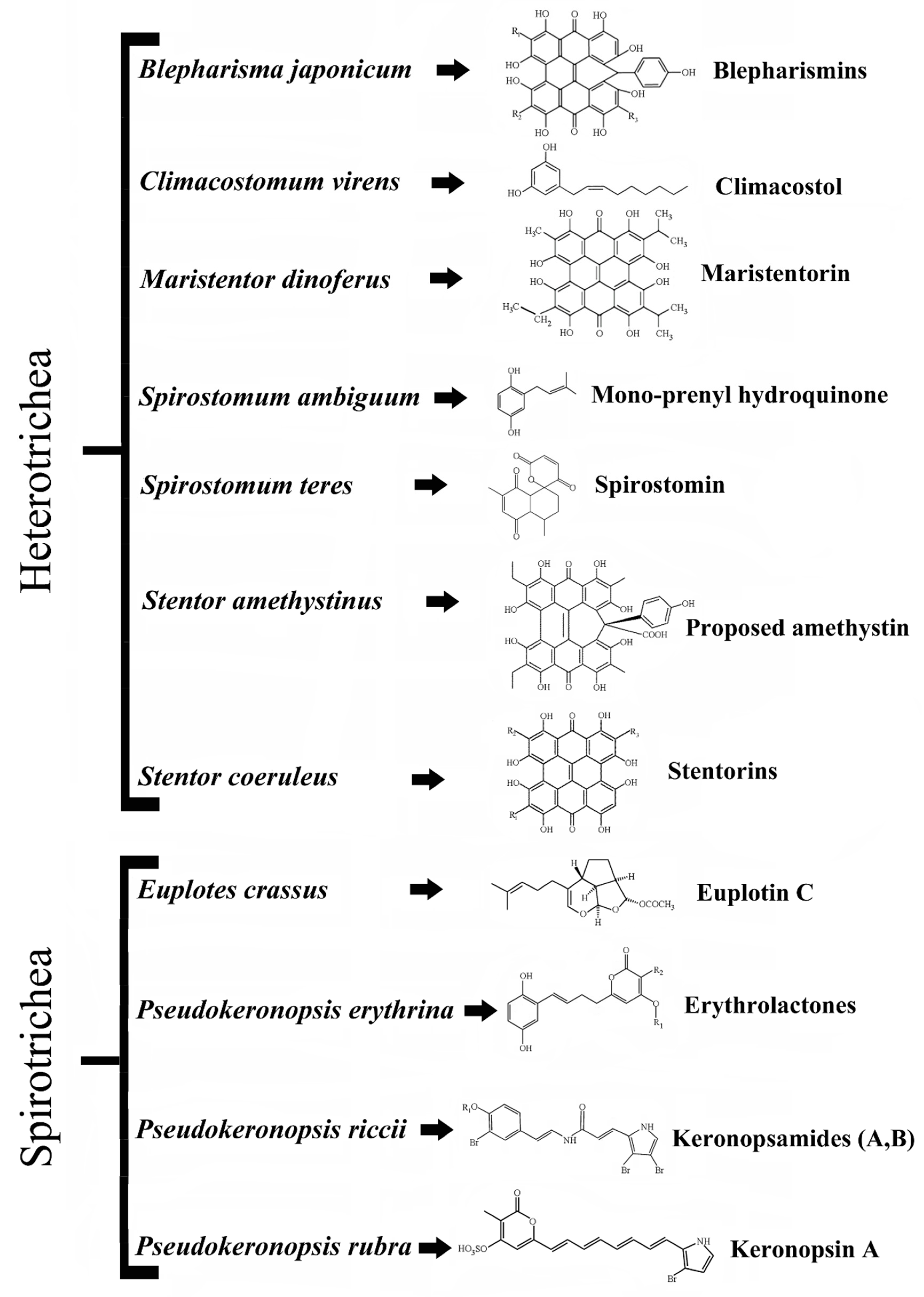 Microorganisms 08 00809 g001