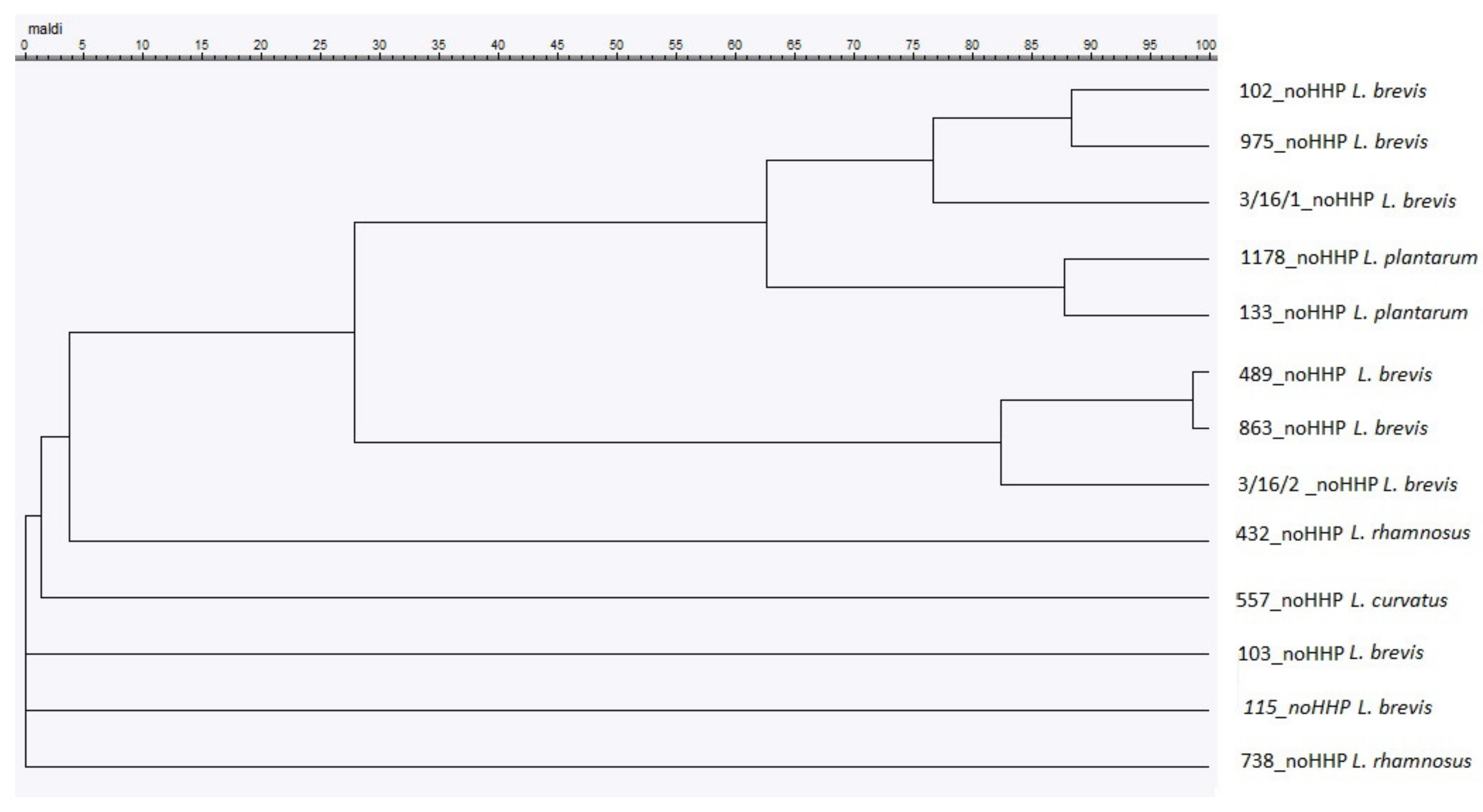 Microorganisms 08 00813 g002