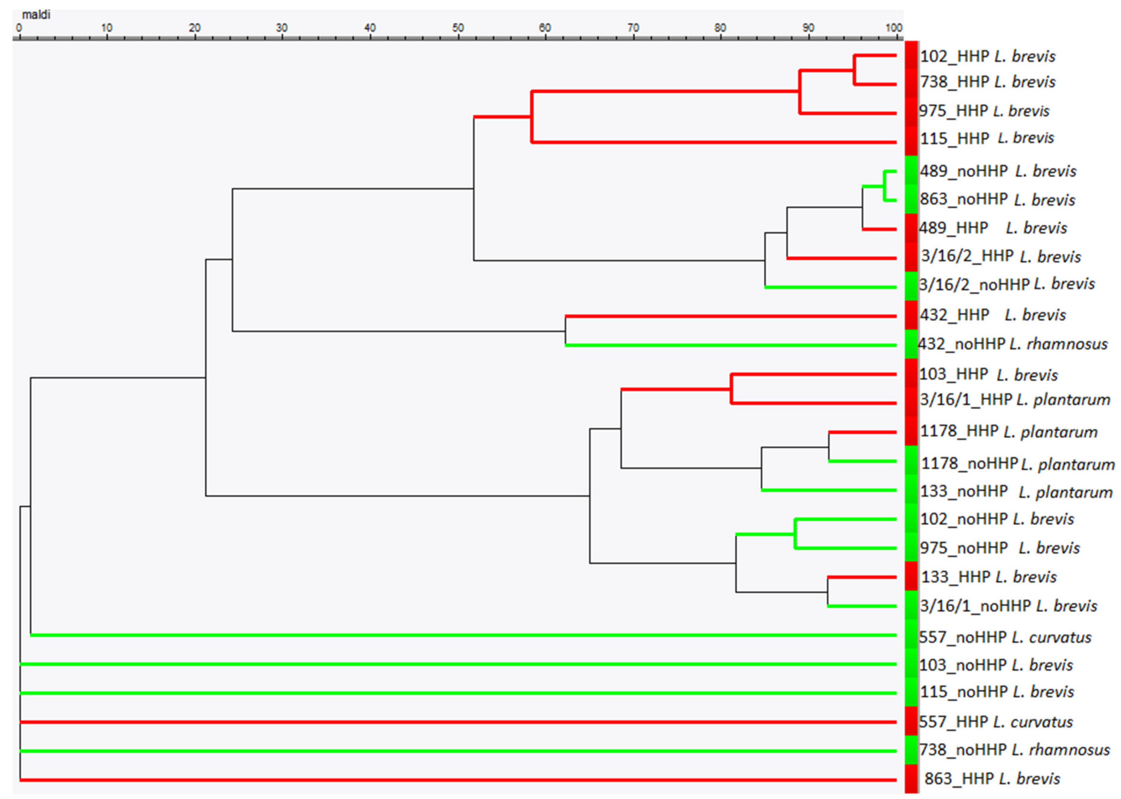 Microorganisms 08 00813 g003