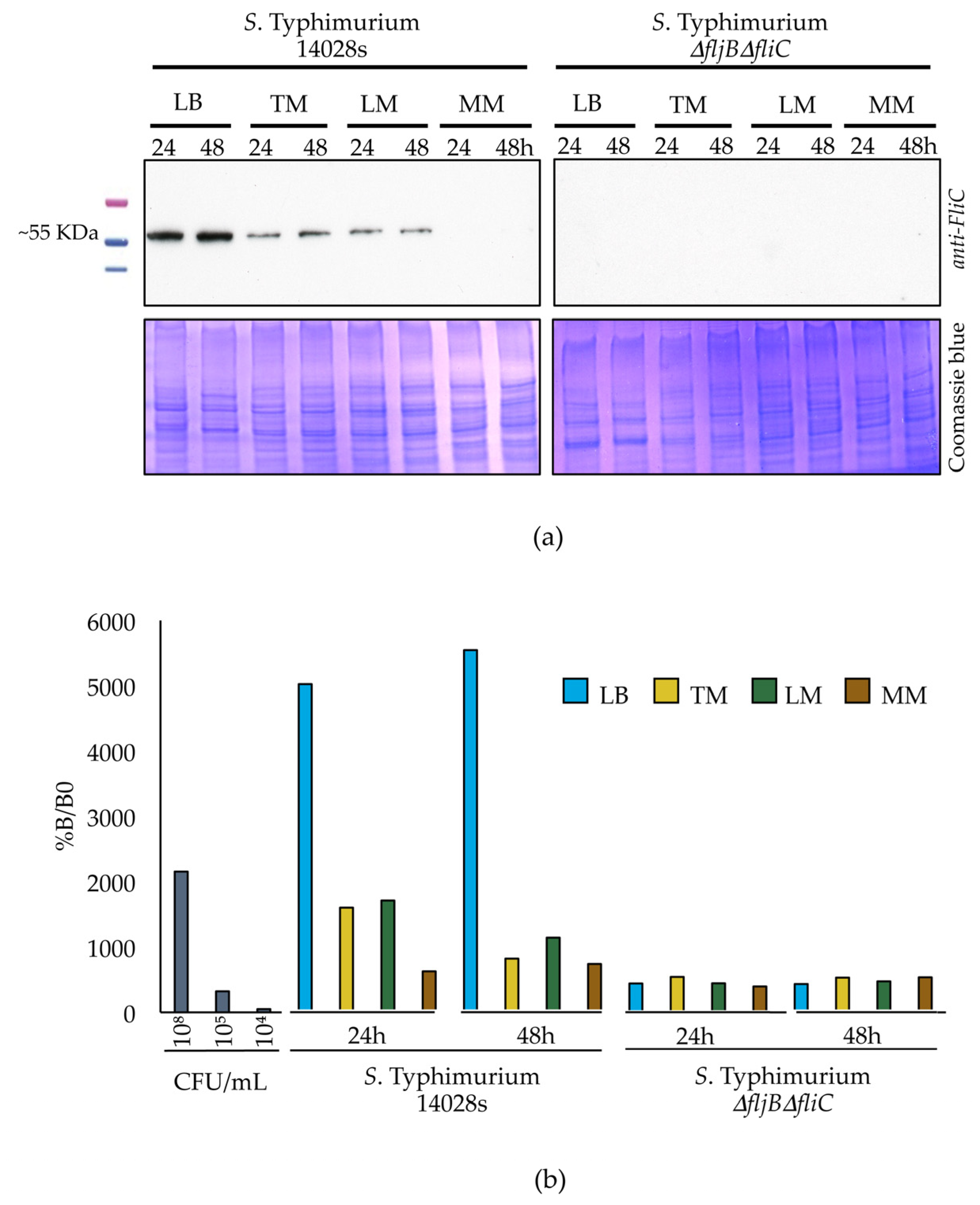 Microorganisms 08 00815 g004