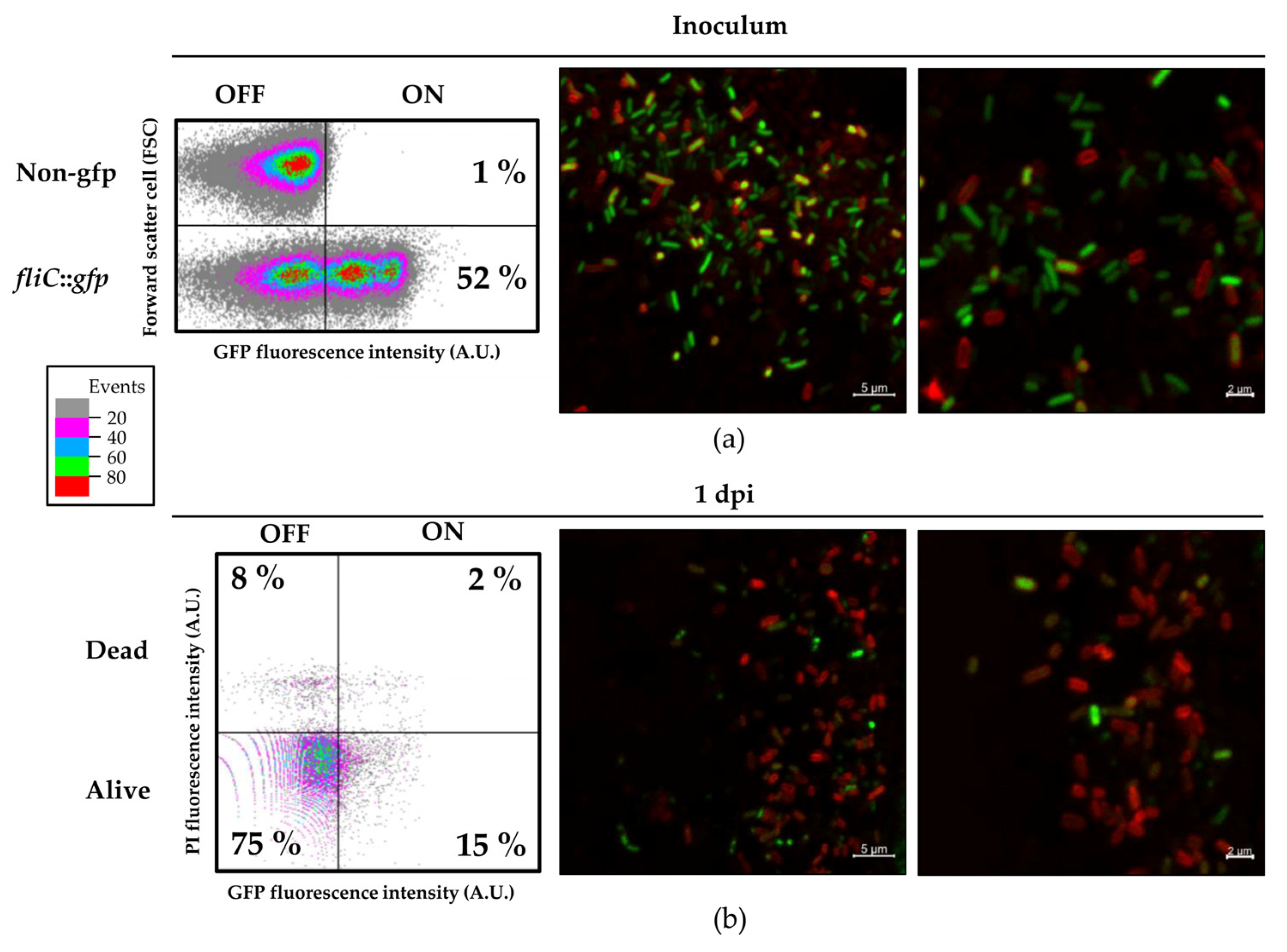 Microorganisms 08 00815 g006