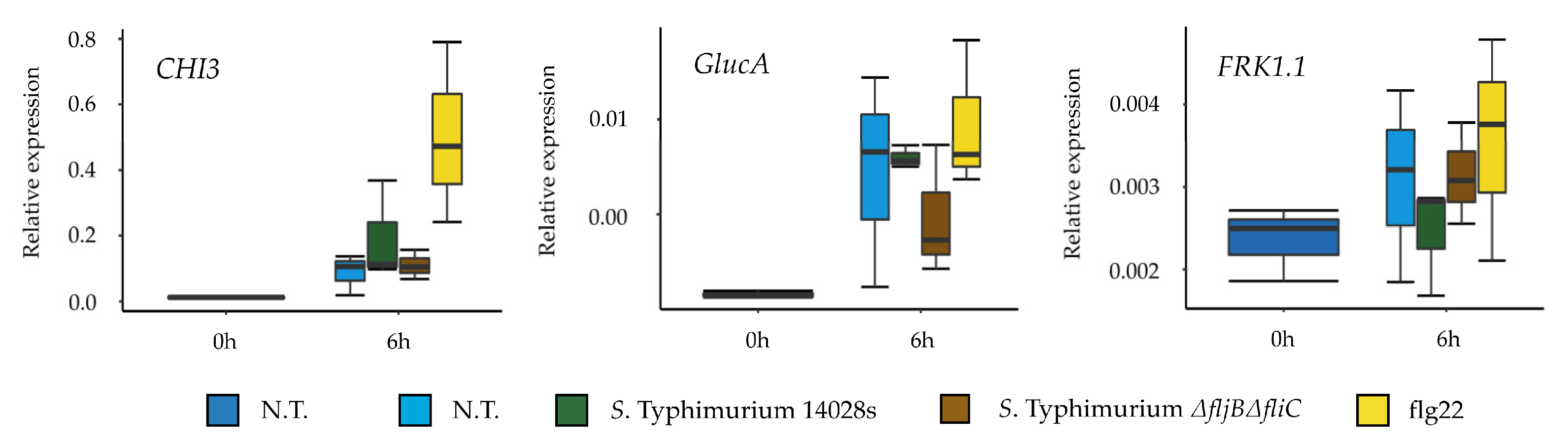 Microorganisms 08 00815 g008