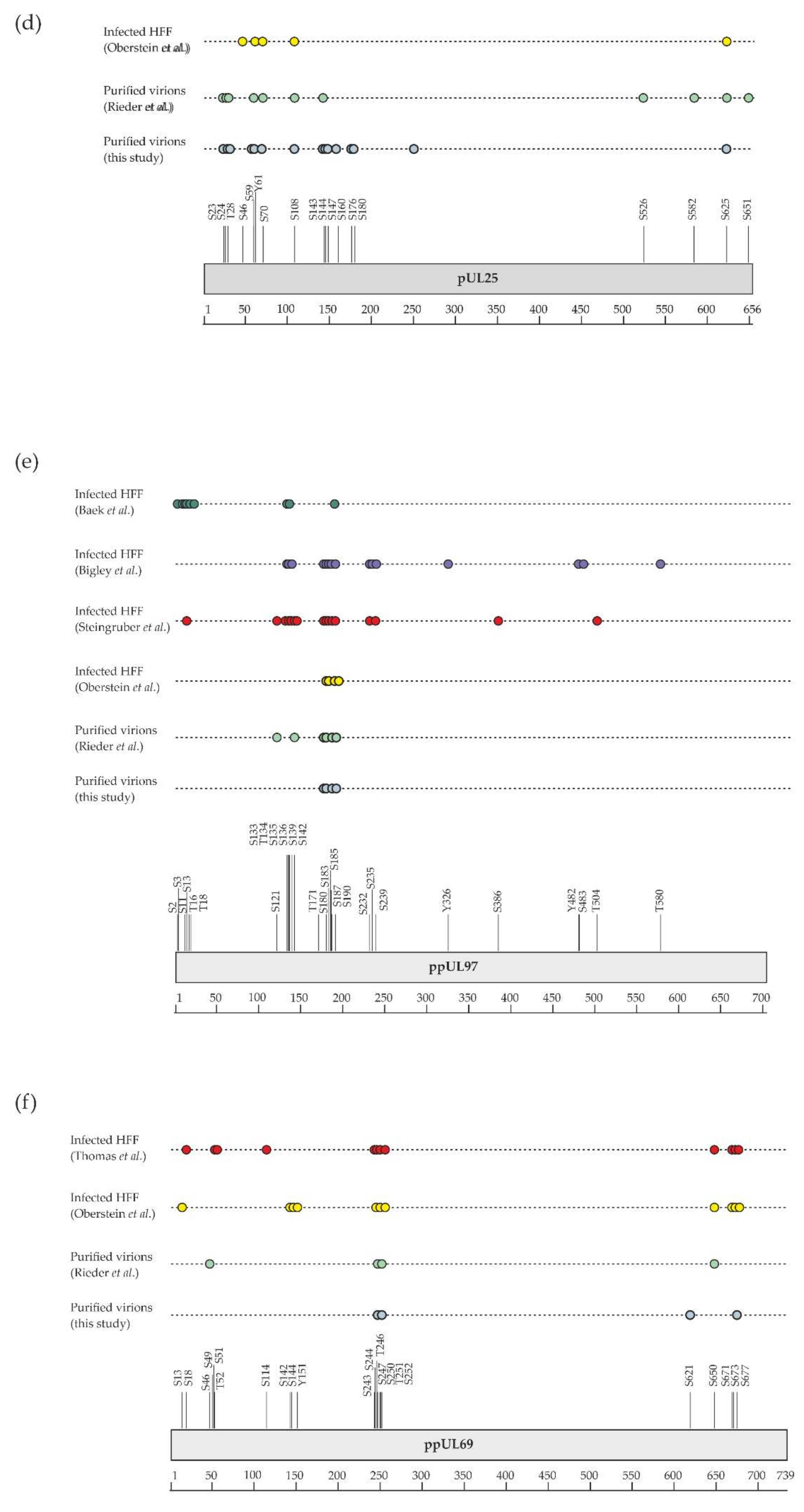 Microorganisms 08 00820 g004b Microorganisms 08 00820 g004b