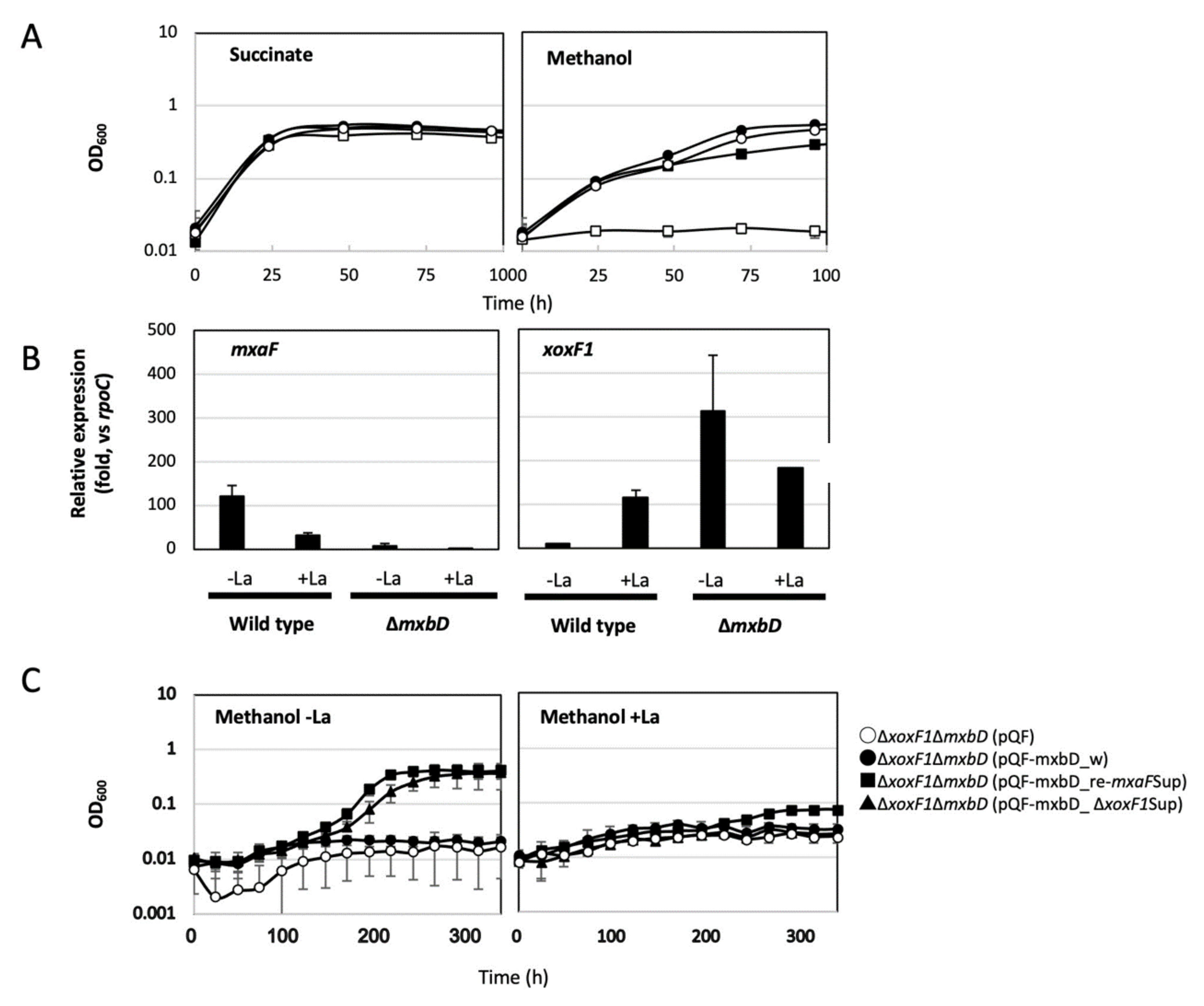 Microorganisms 08 00822 g004