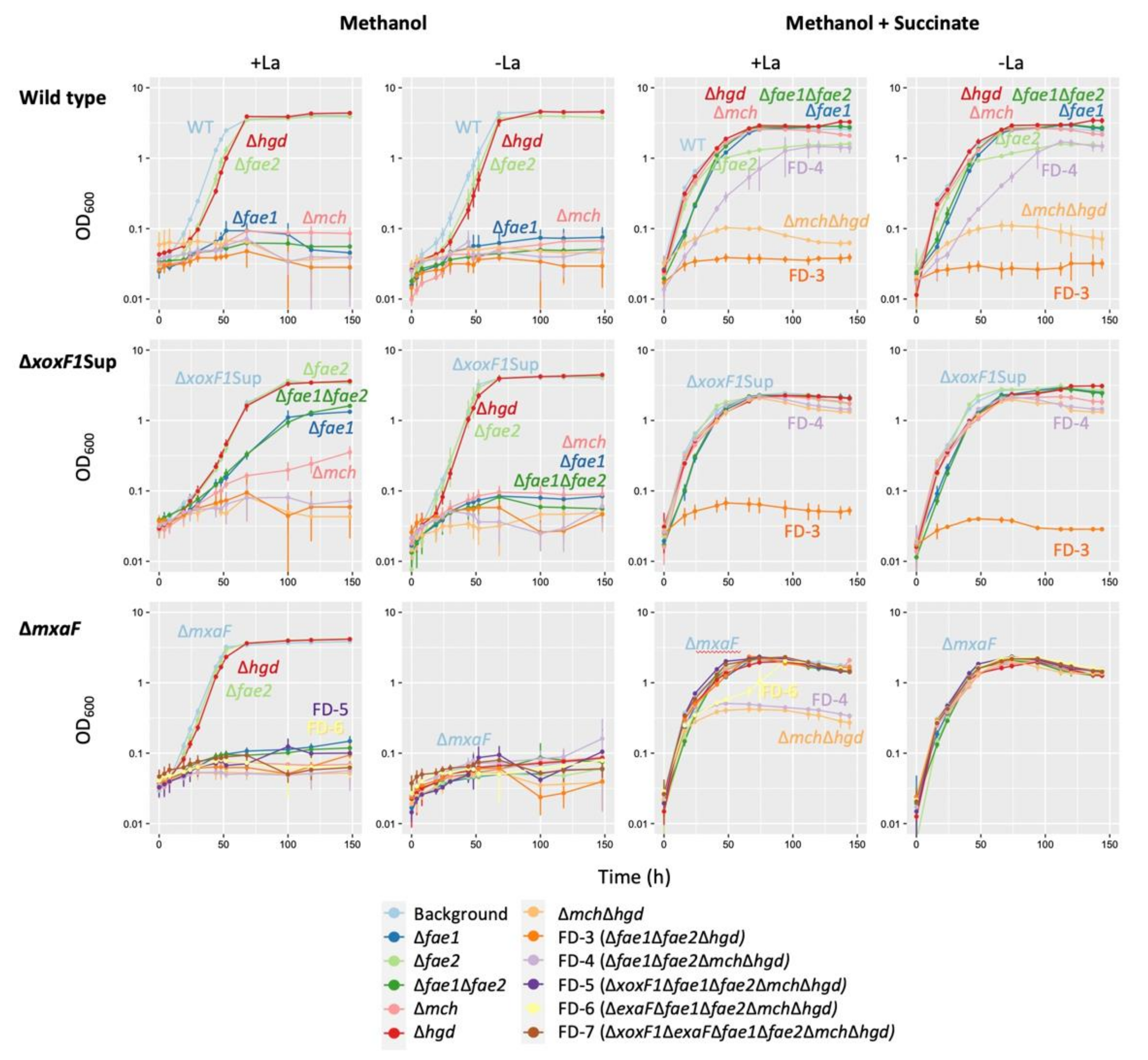Microorganisms 08 00822 g007