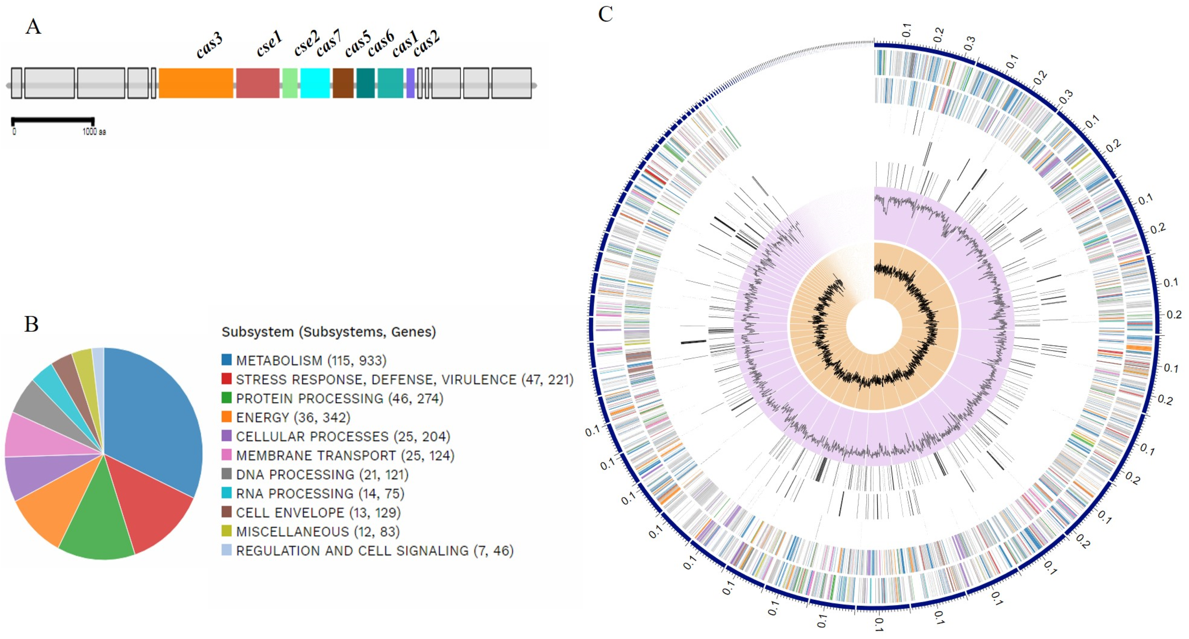 Microorganisms 08 00827 g003 Microorganisms 08 00827 g003