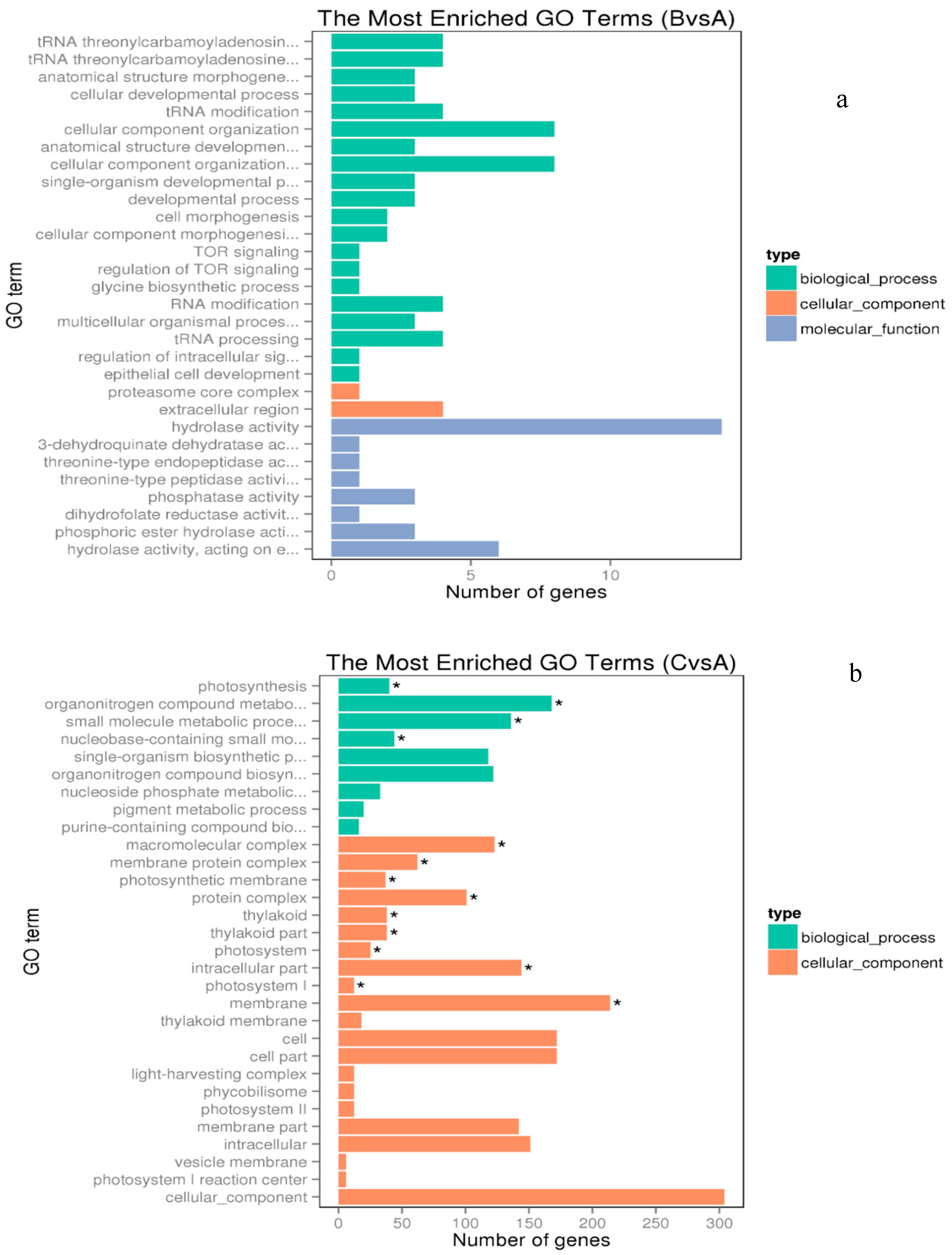 Microorganisms 08 00832 g002 Microorganisms 08 00832 g002