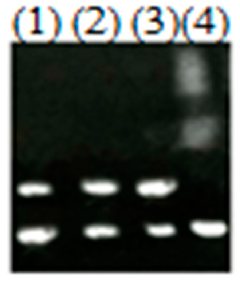 Microorganisms 08 00832 g006 Microorganisms 08 00832 g006