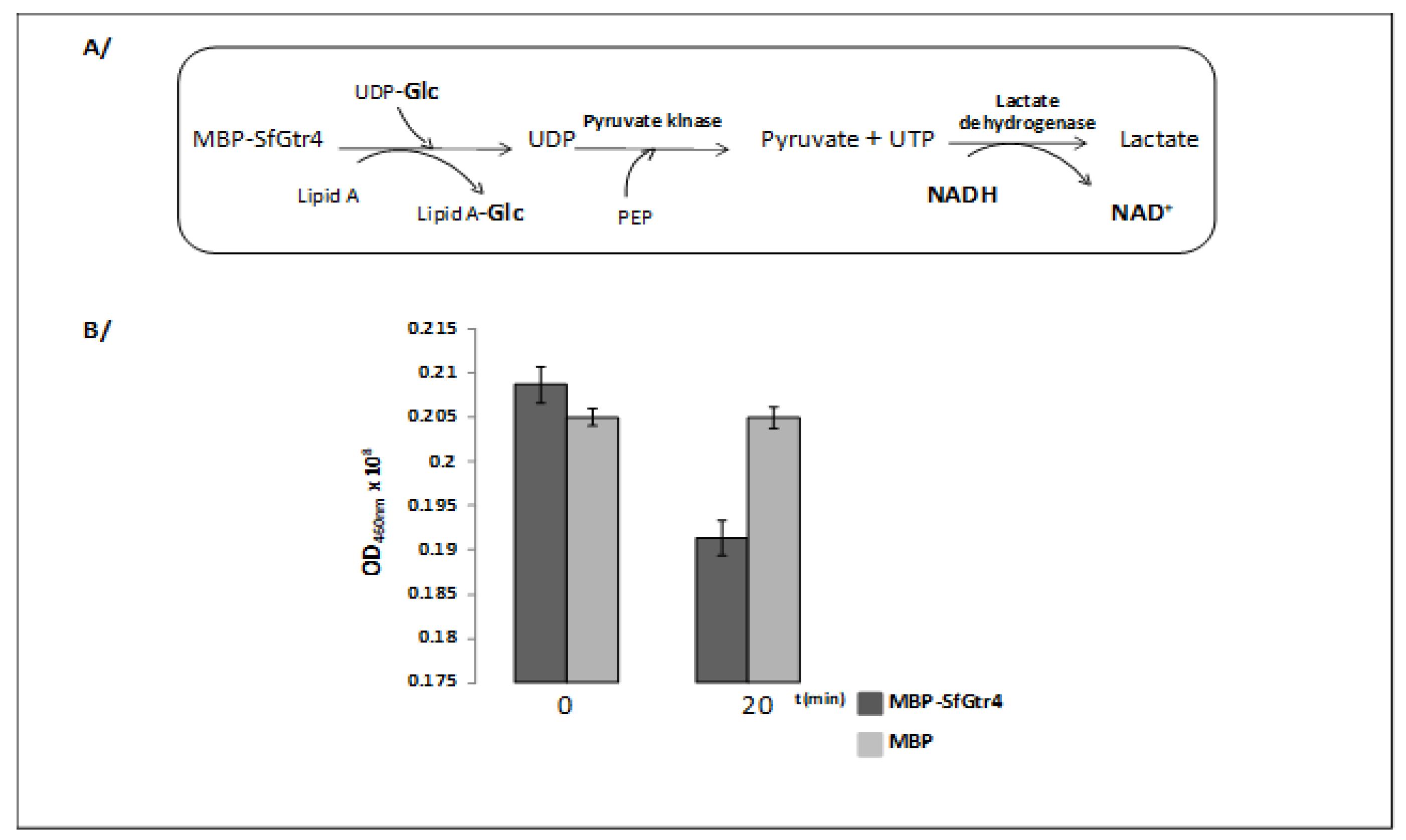 Microorganisms 08 00841 g002 Microorganisms 08 00841 g002