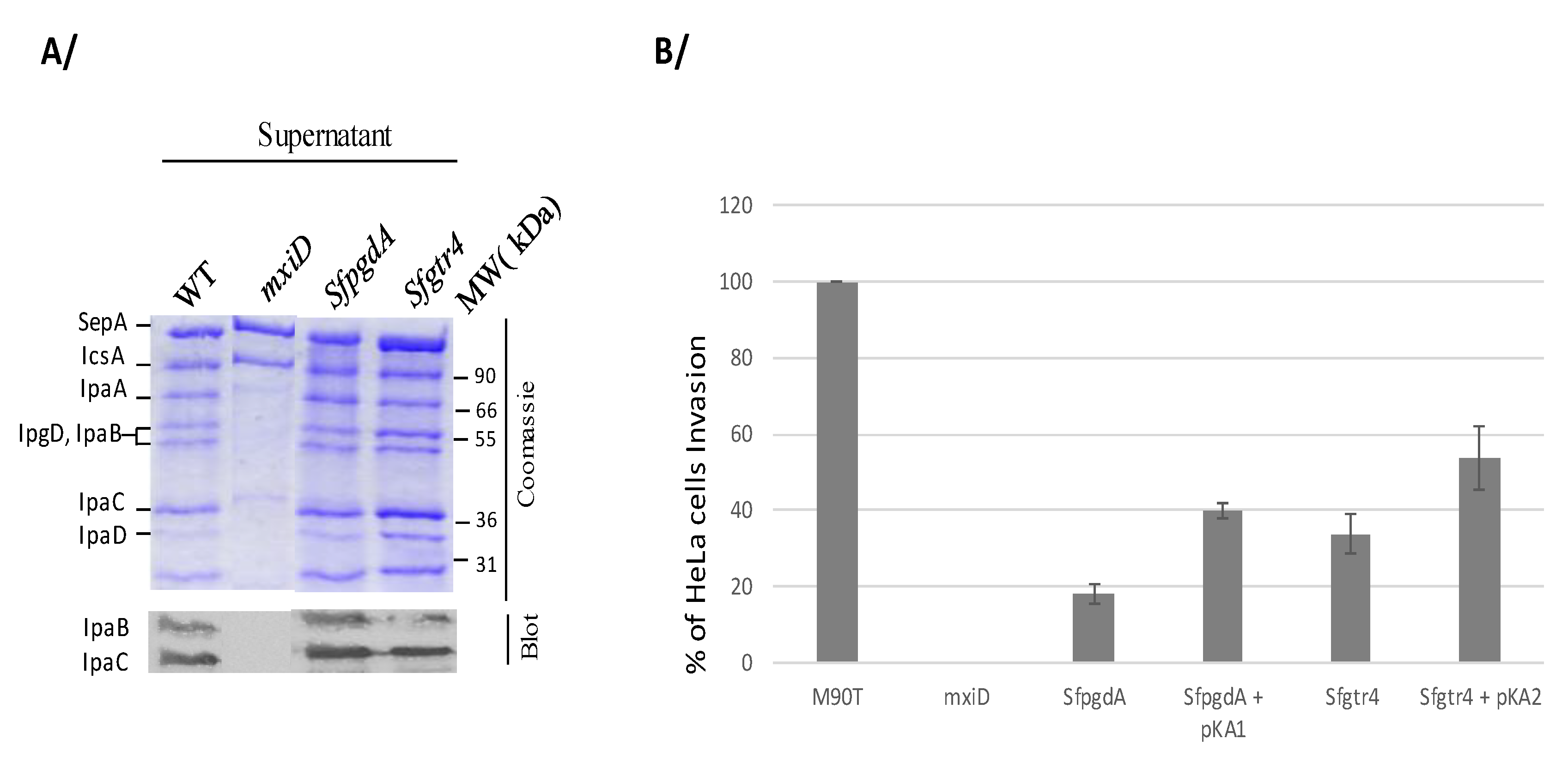 Microorganisms 08 00841 g003 Microorganisms 08 00841 g003