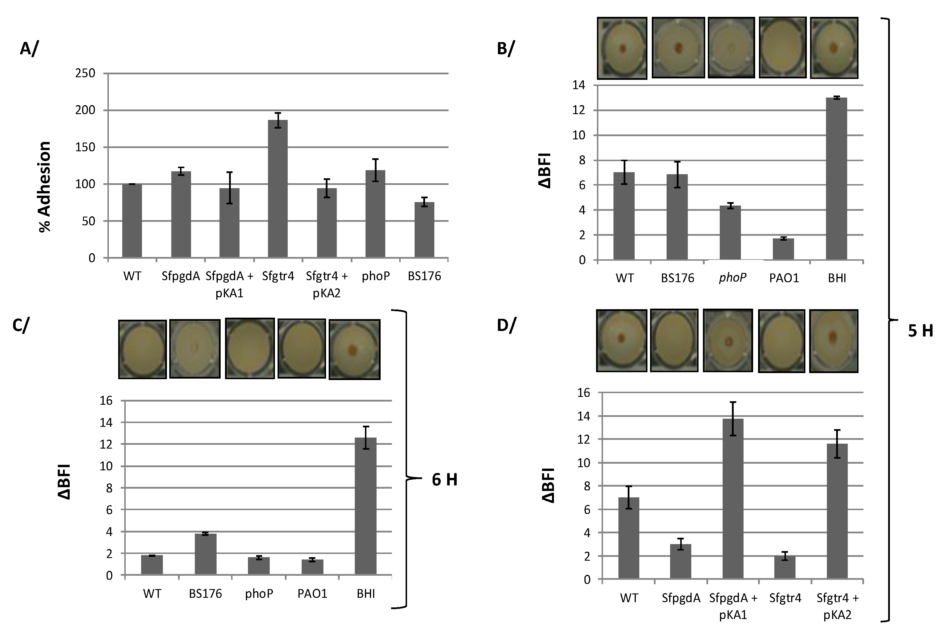 Microorganisms 08 00841 g005 Microorganisms 08 00841 g005
