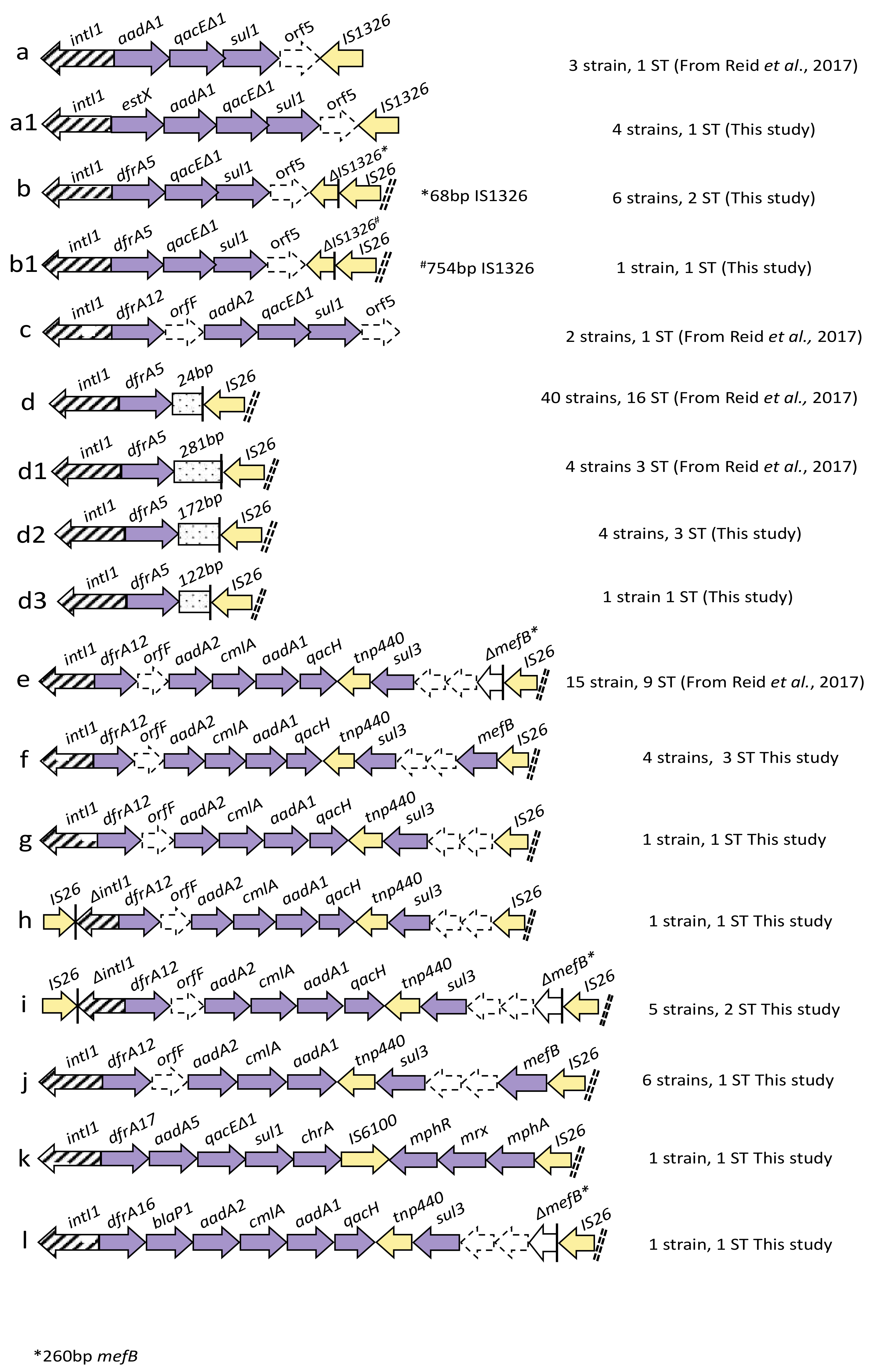 Microorganisms 08 00843 g003