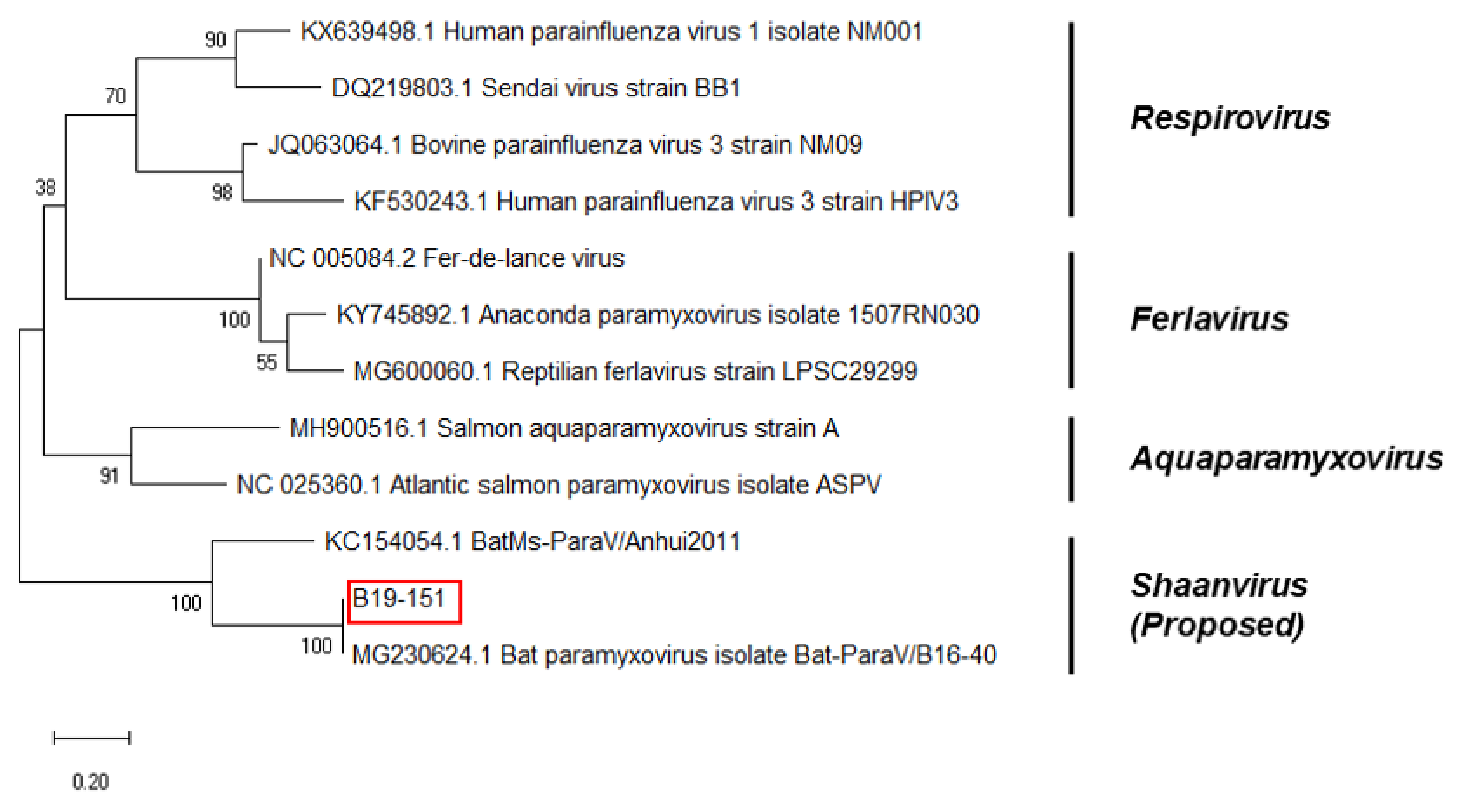 Microorganisms 08 00844 g004 Microorganisms 08 00844 g004