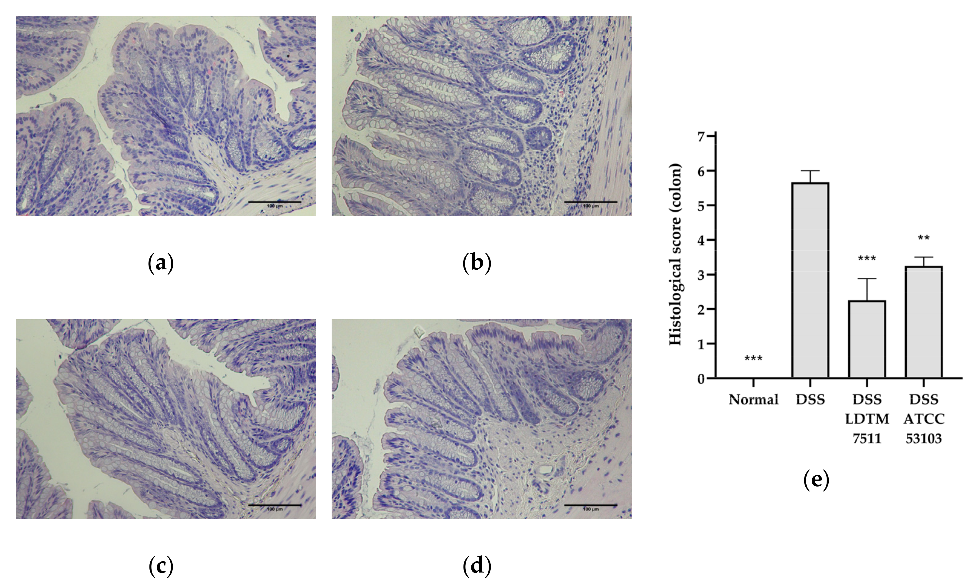 Microorganisms 08 00845 g003