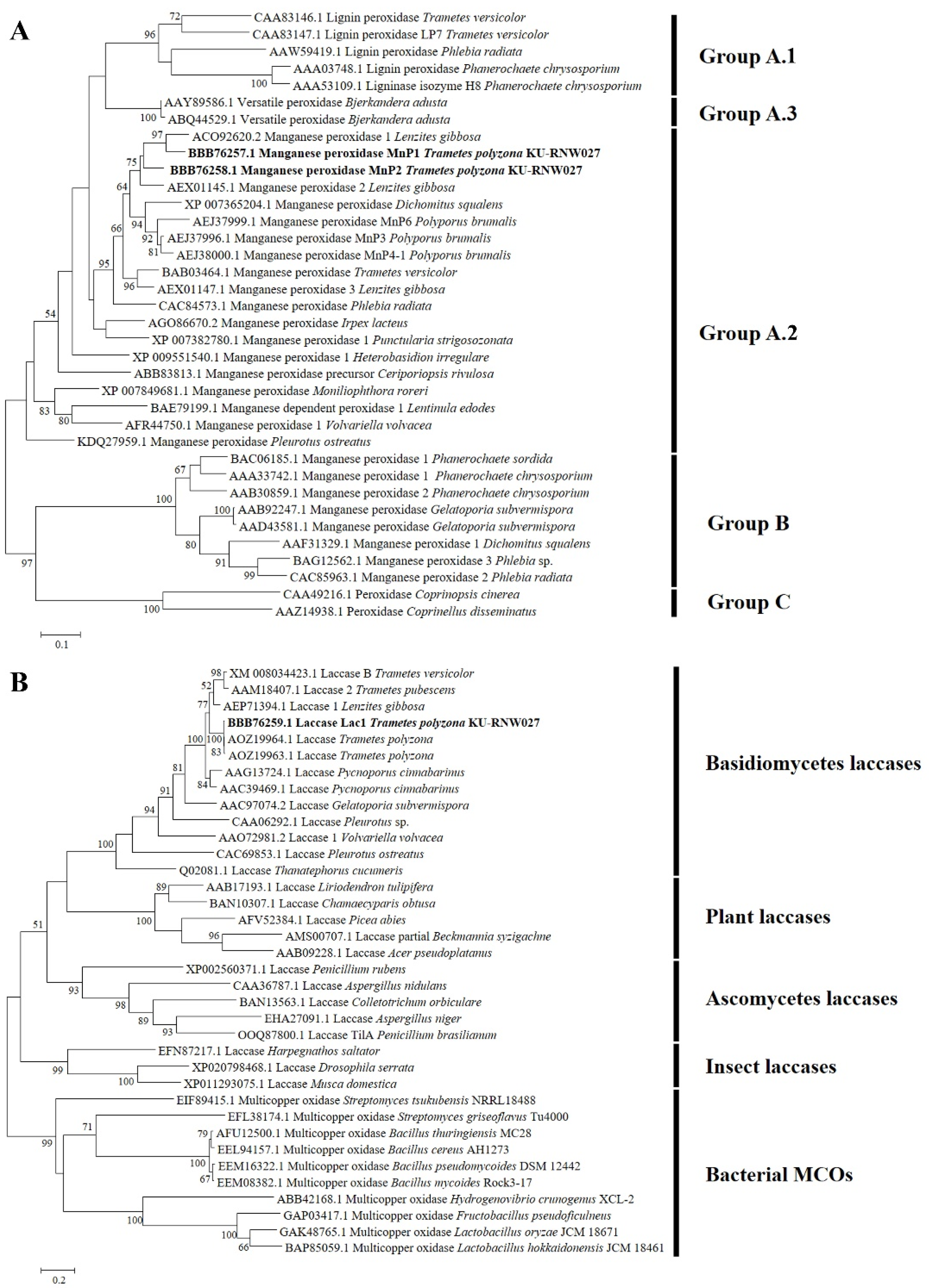 Microorganisms 08 00852 g001 Microorganisms 08 00852 g001