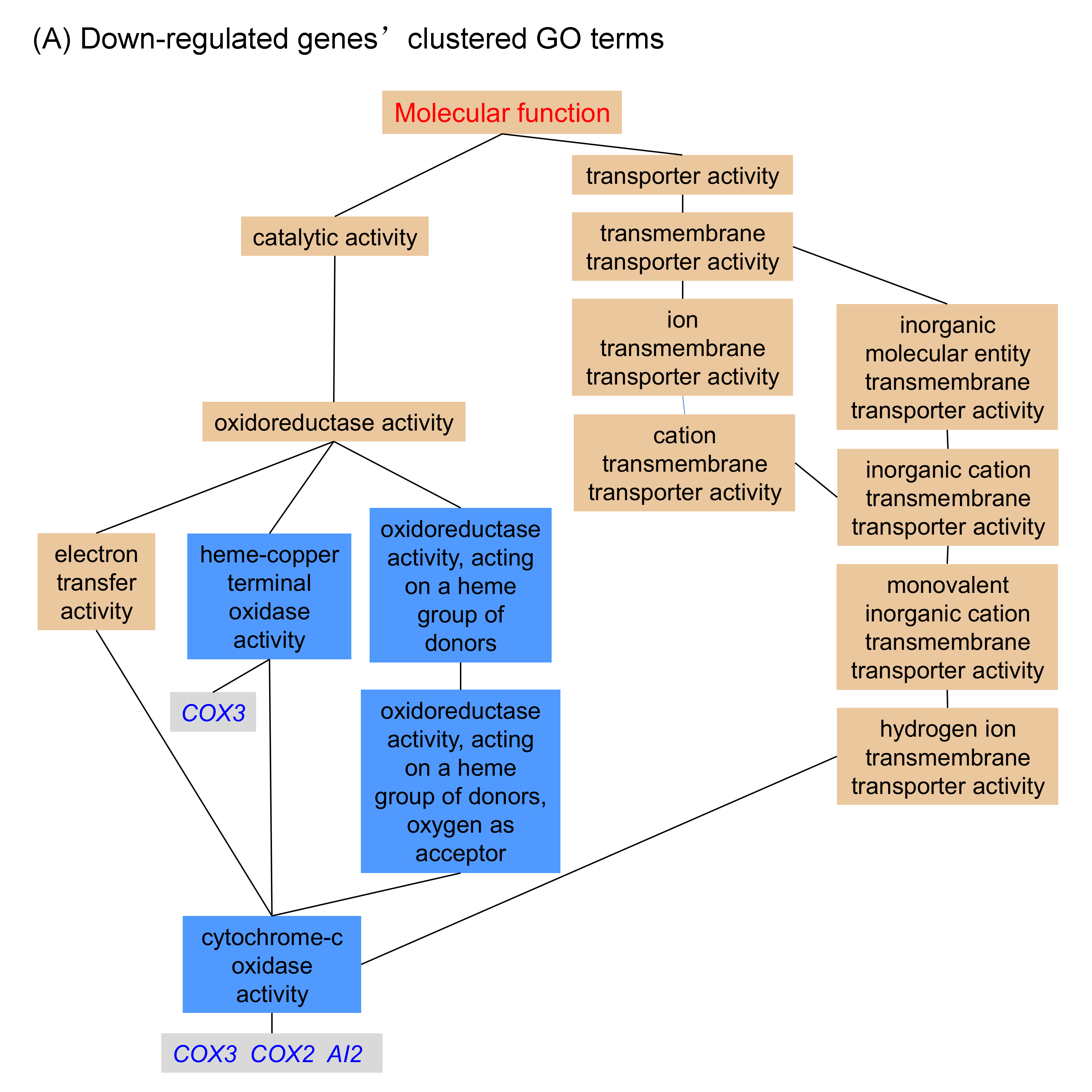 Microorganisms 08 00856 g003a Microorganisms 08 00856 g003a